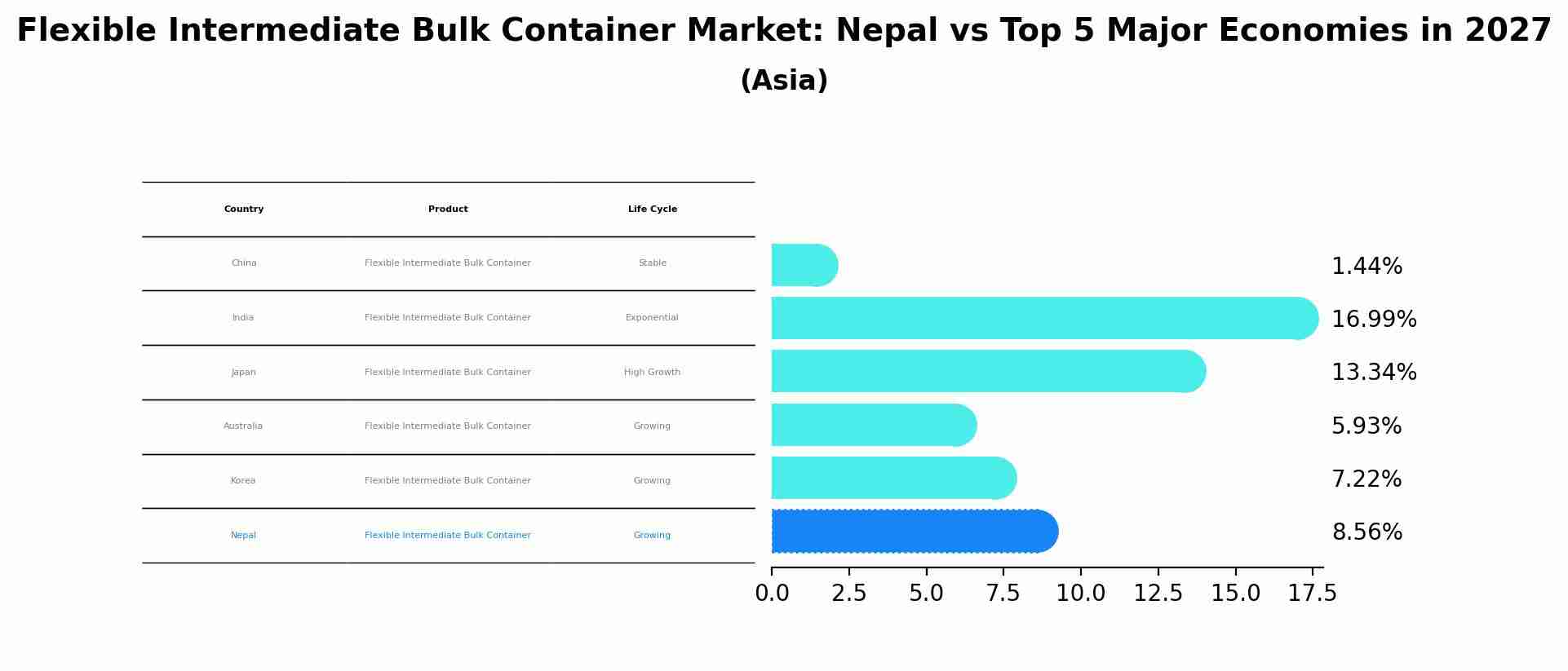 Flexible Intermediate Bulk Container Market: Nepal vs Top 5 Major Economies in 2027 (Asia)