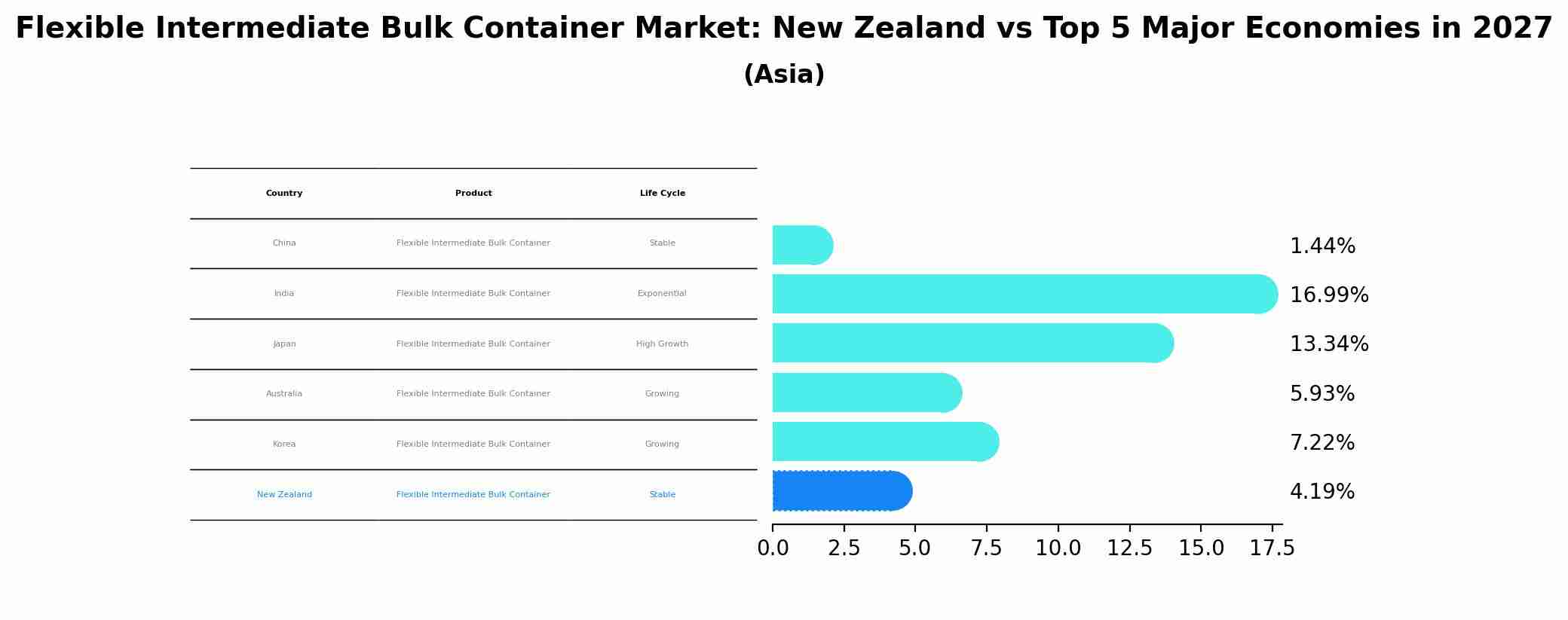 Flexible Intermediate Bulk Container Market: New Zealand vs Top 5 Major Economies in 2027 (Asia)
