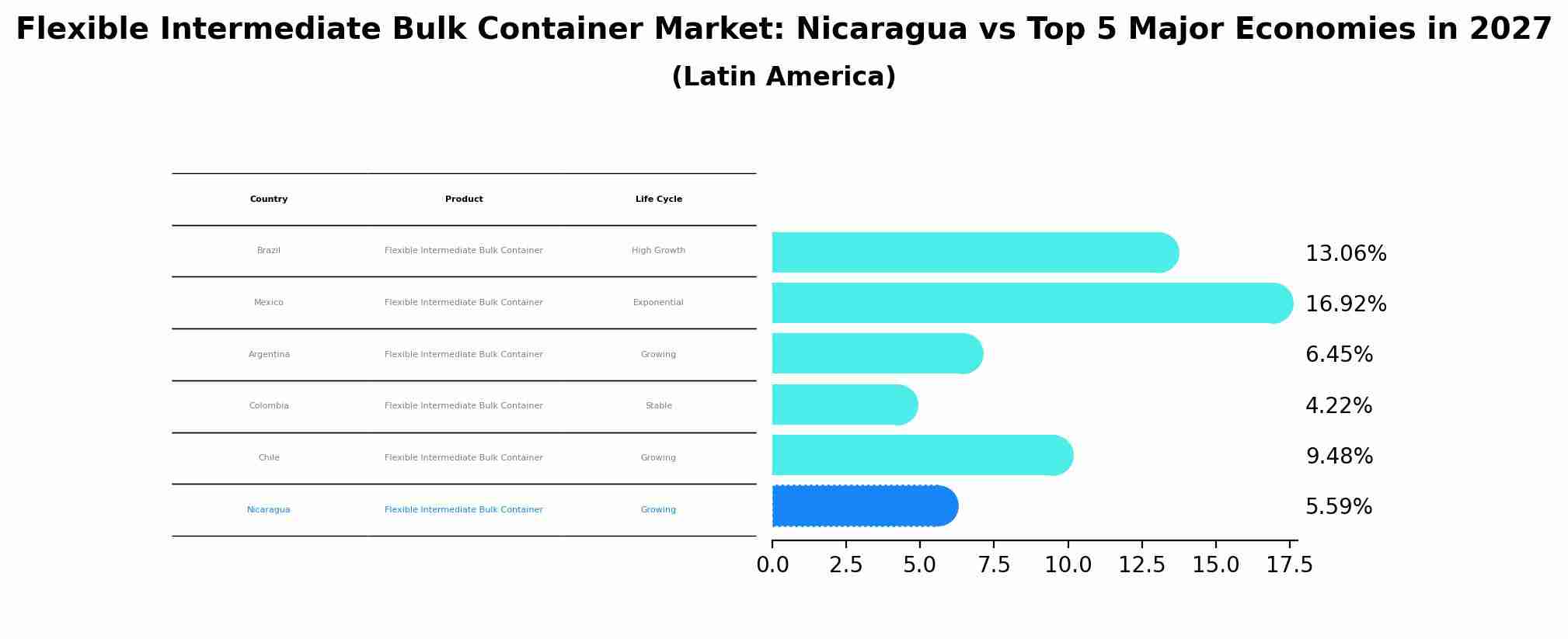 Flexible Intermediate Bulk Container Market: Nicaragua vs Top 5 Major Economies in 2027 (Latin America)