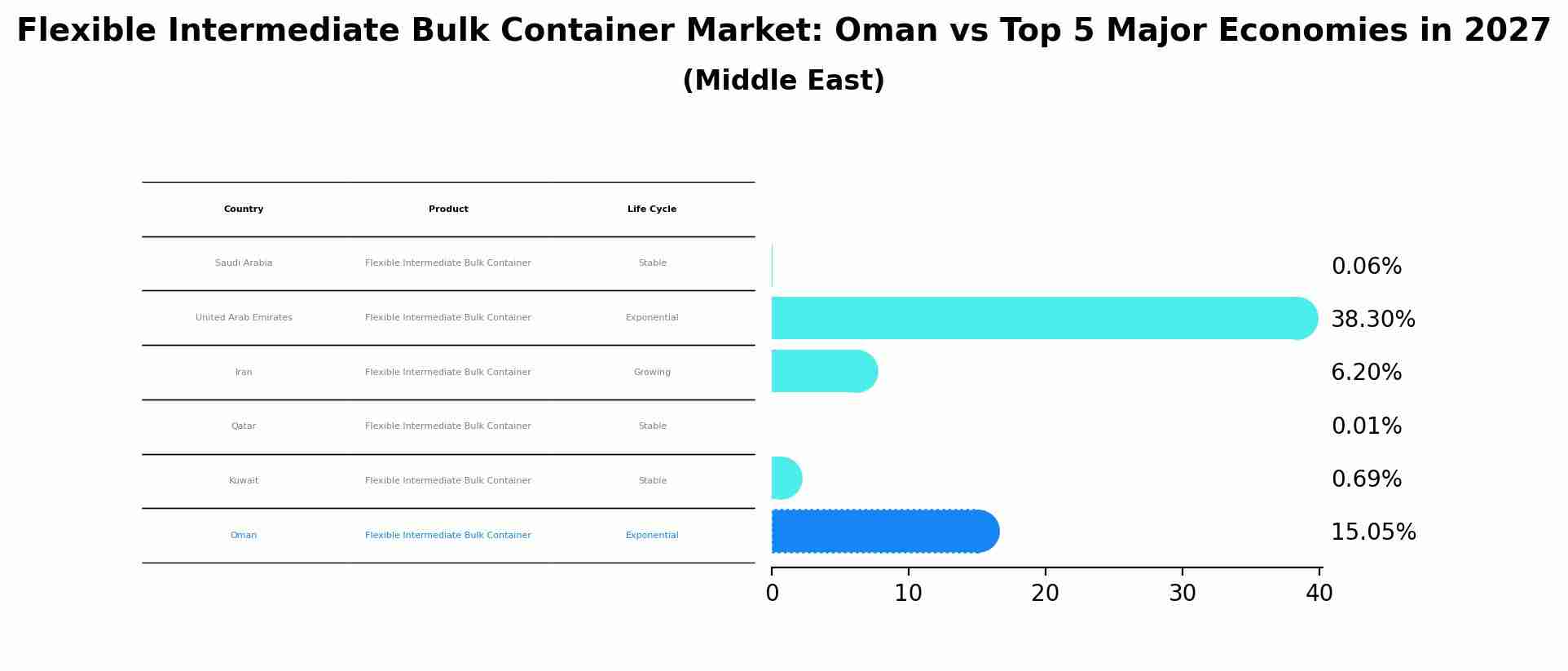 Flexible Intermediate Bulk Container Market: Oman vs Top 5 Major Economies in 2027 (Middle East)