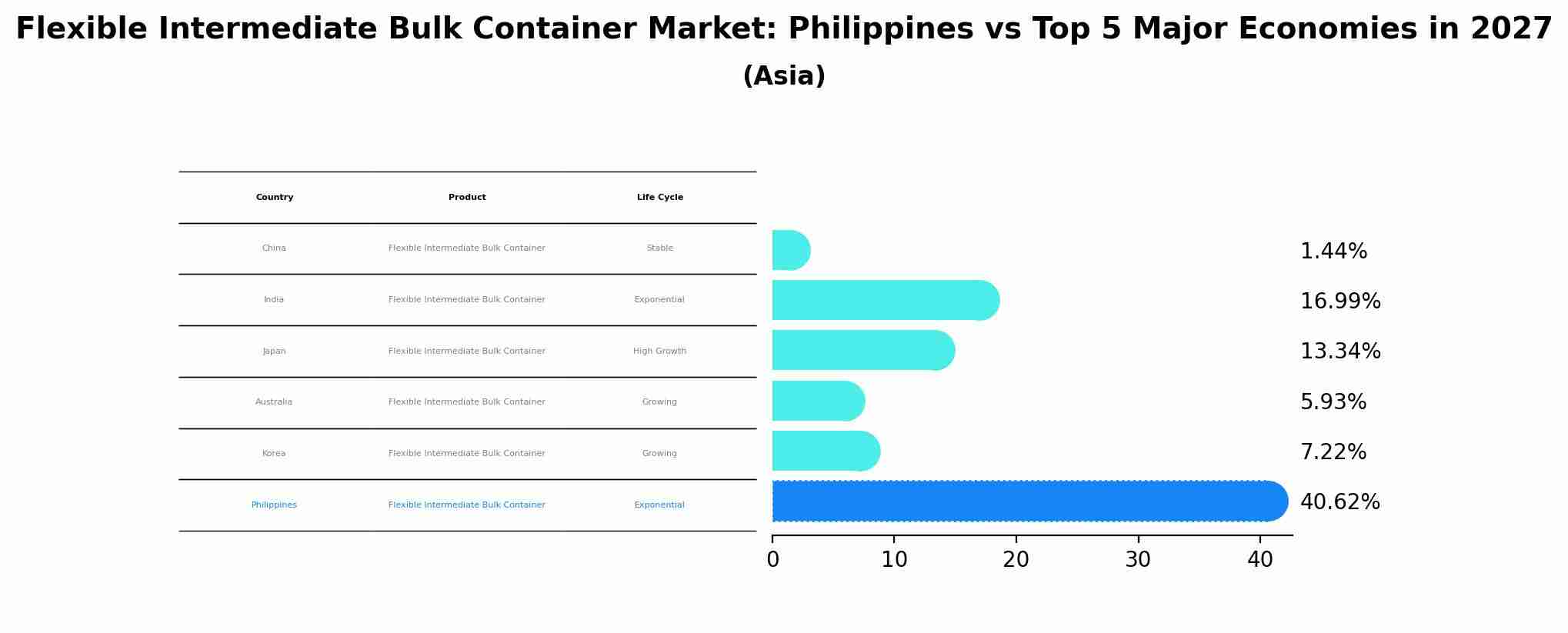Flexible Intermediate Bulk Container Market: Philippines vs Top 5 Major Economies in 2027 (Asia)