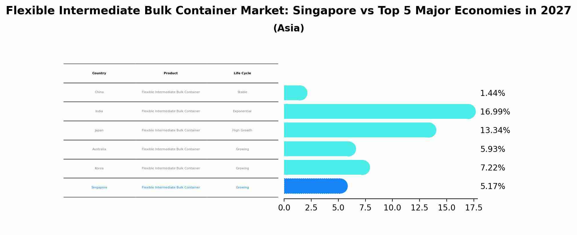 Flexible Intermediate Bulk Container Market: Singapore vs Top 5 Major Economies in 2027 (Asia)