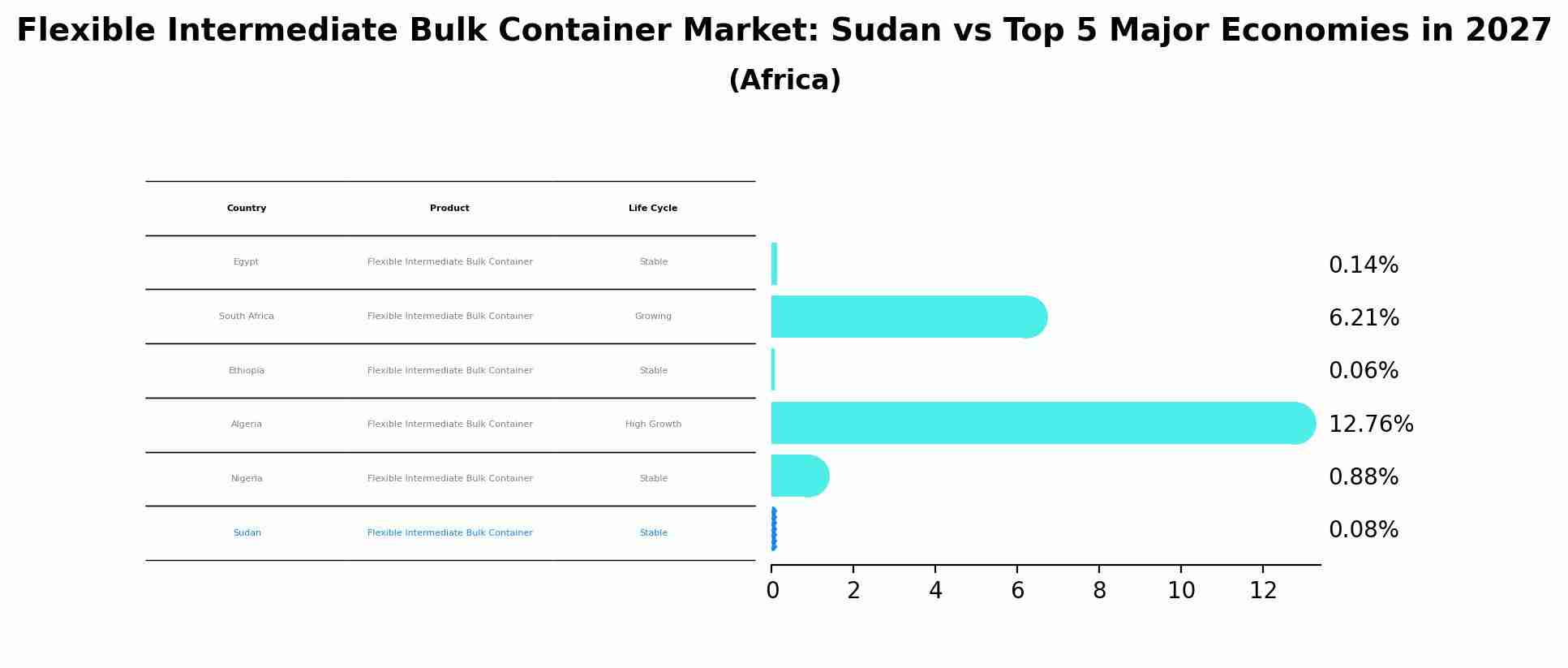 Flexible Intermediate Bulk Container Market: Sudan vs Top 5 Major Economies in 2027 (Africa)
