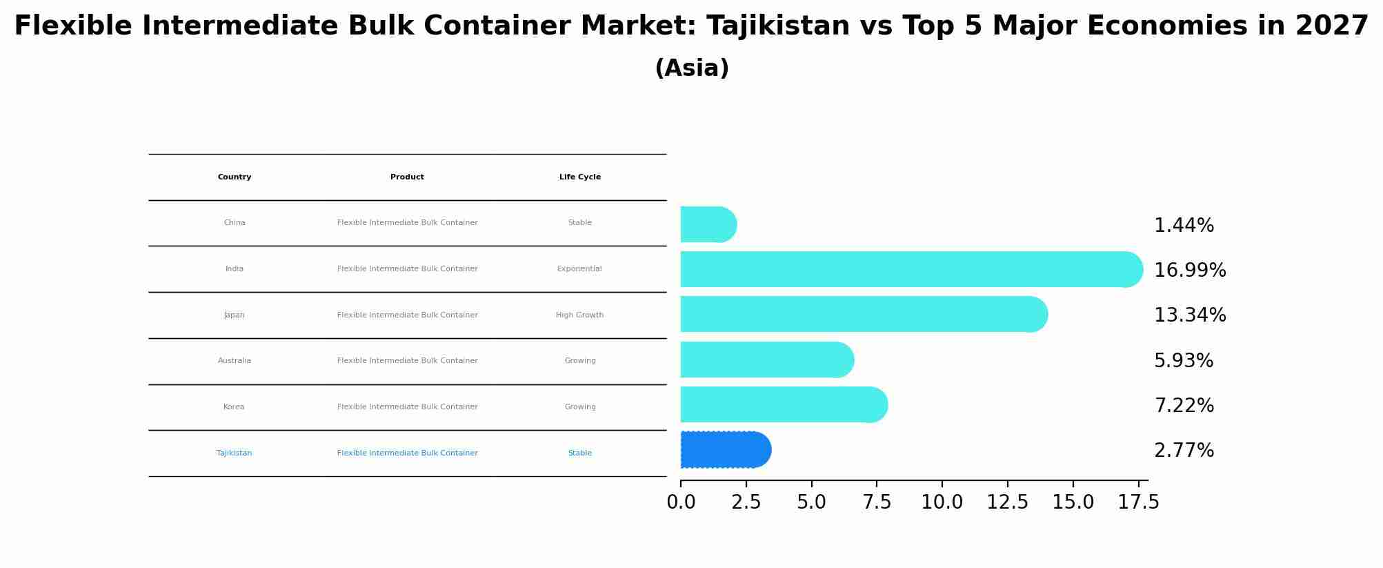 Flexible Intermediate Bulk Container Market: Tajikistan vs Top 5 Major Economies in 2027 (Asia)