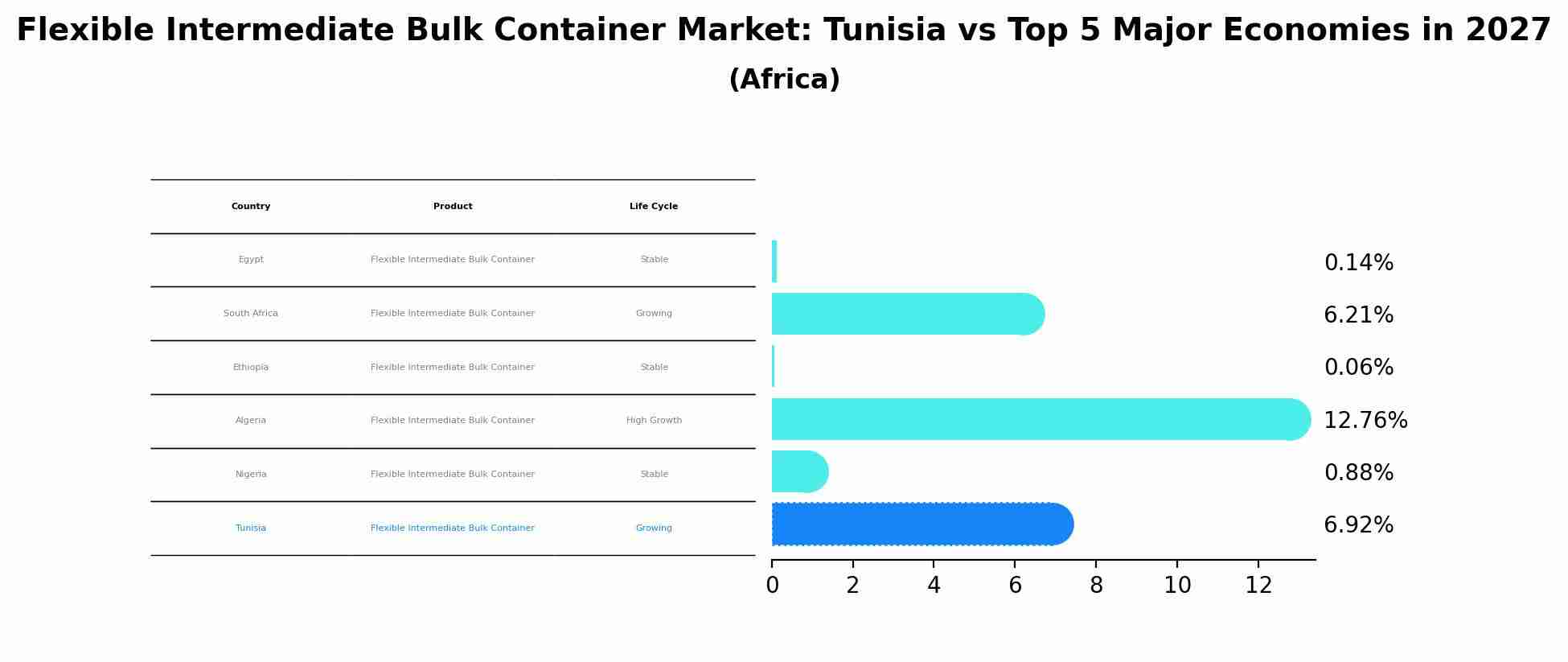 Flexible Intermediate Bulk Container Market: Tunisia vs Top 5 Major Economies in 2027 (Africa)