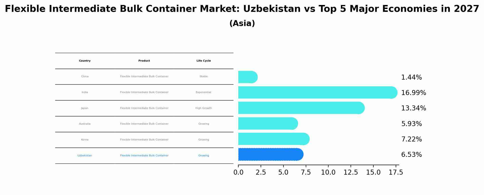 Flexible Intermediate Bulk Container Market: Uzbekistan vs Top 5 Major Economies in 2027 (Asia)