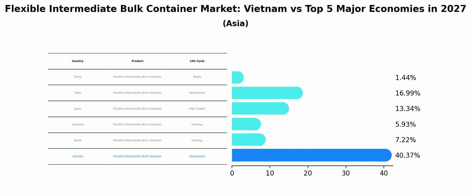 Flexible Intermediate Bulk Container Market: Vietnam vs Top 5 Major Economies in 2027 (Asia)