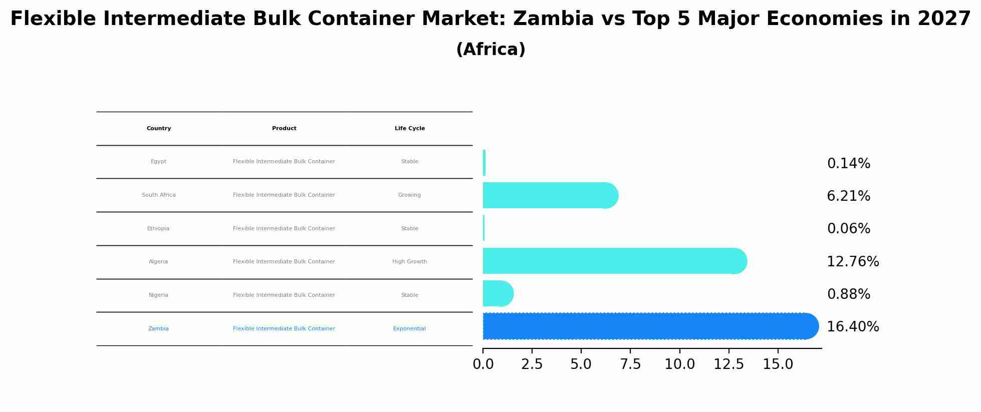 Flexible Intermediate Bulk Container Market: Zambia vs Top 5 Major Economies in 2027 (Africa)