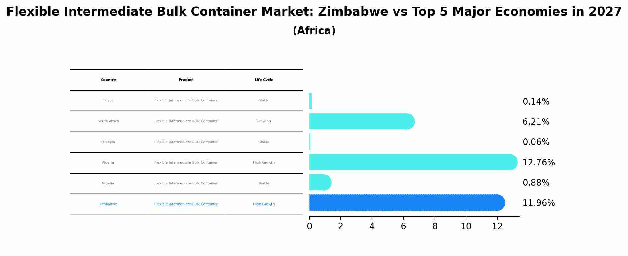 Flexible Intermediate Bulk Container Market: Zimbabwe vs Top 5 Major Economies in 2027 (Africa)