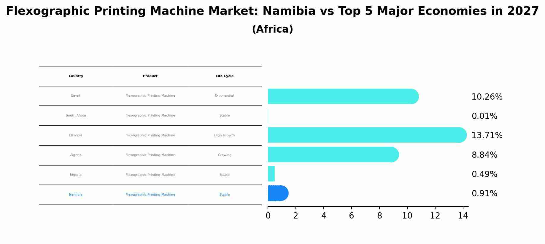 Flexographic Printing Machine Market: Namibia vs Top 5 Major Economies in 2027 (Africa)