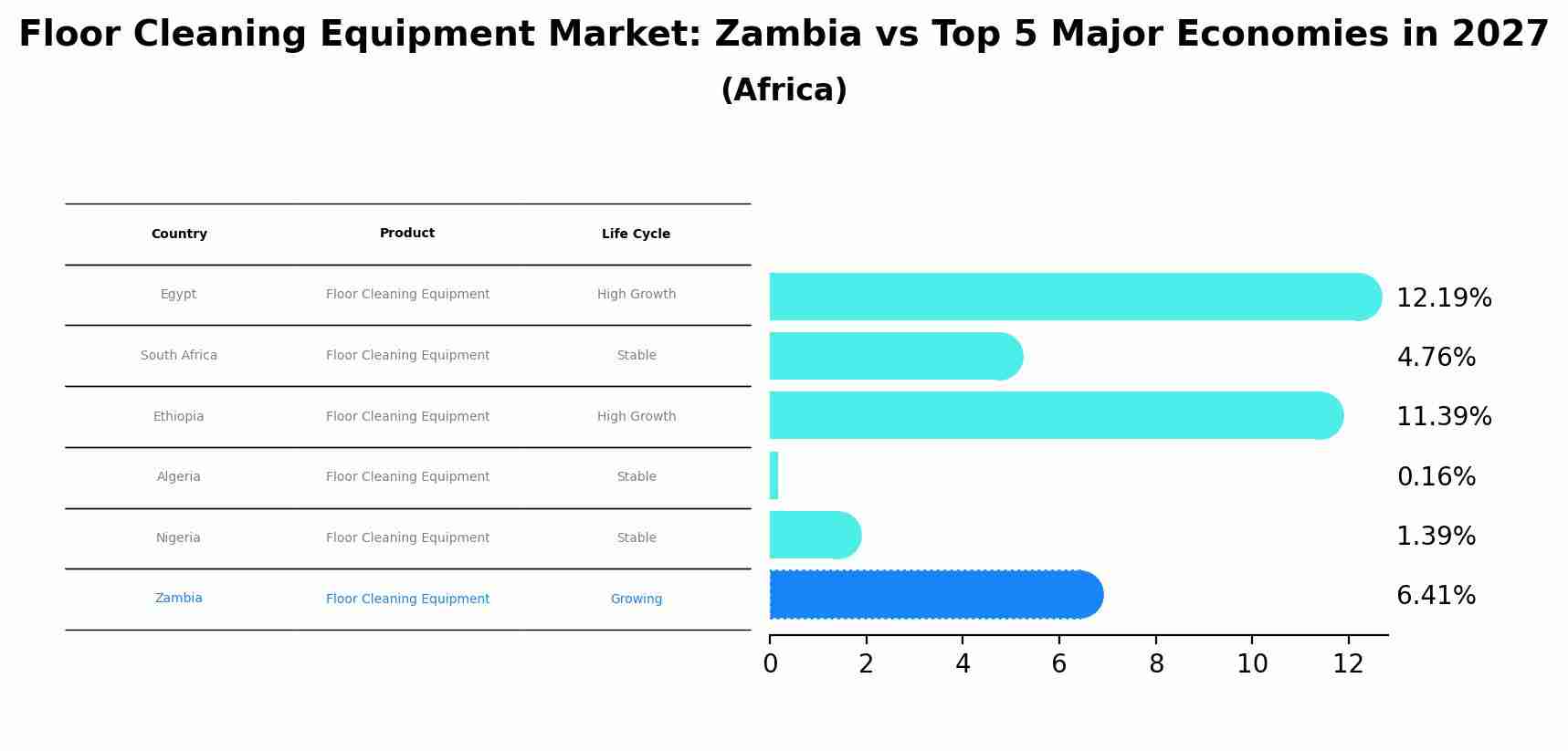 Floor Cleaning Equipment Market: Zambia vs Top 5 Major Economies in 2027 (Africa)