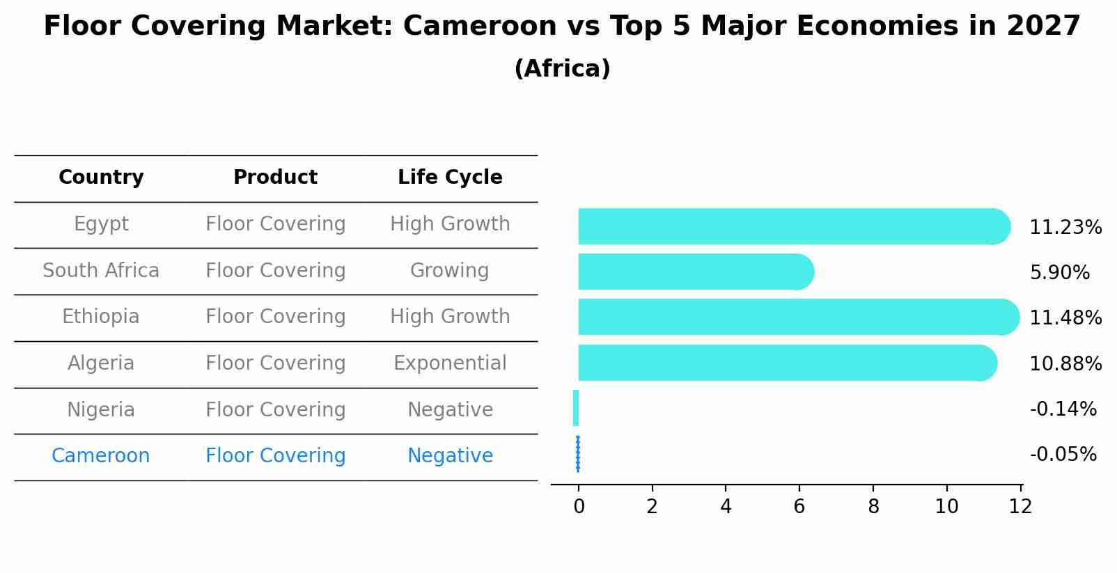 Floor Covering Market: Cameroon vs Top 5 Major Economies in 2027 (Africa)