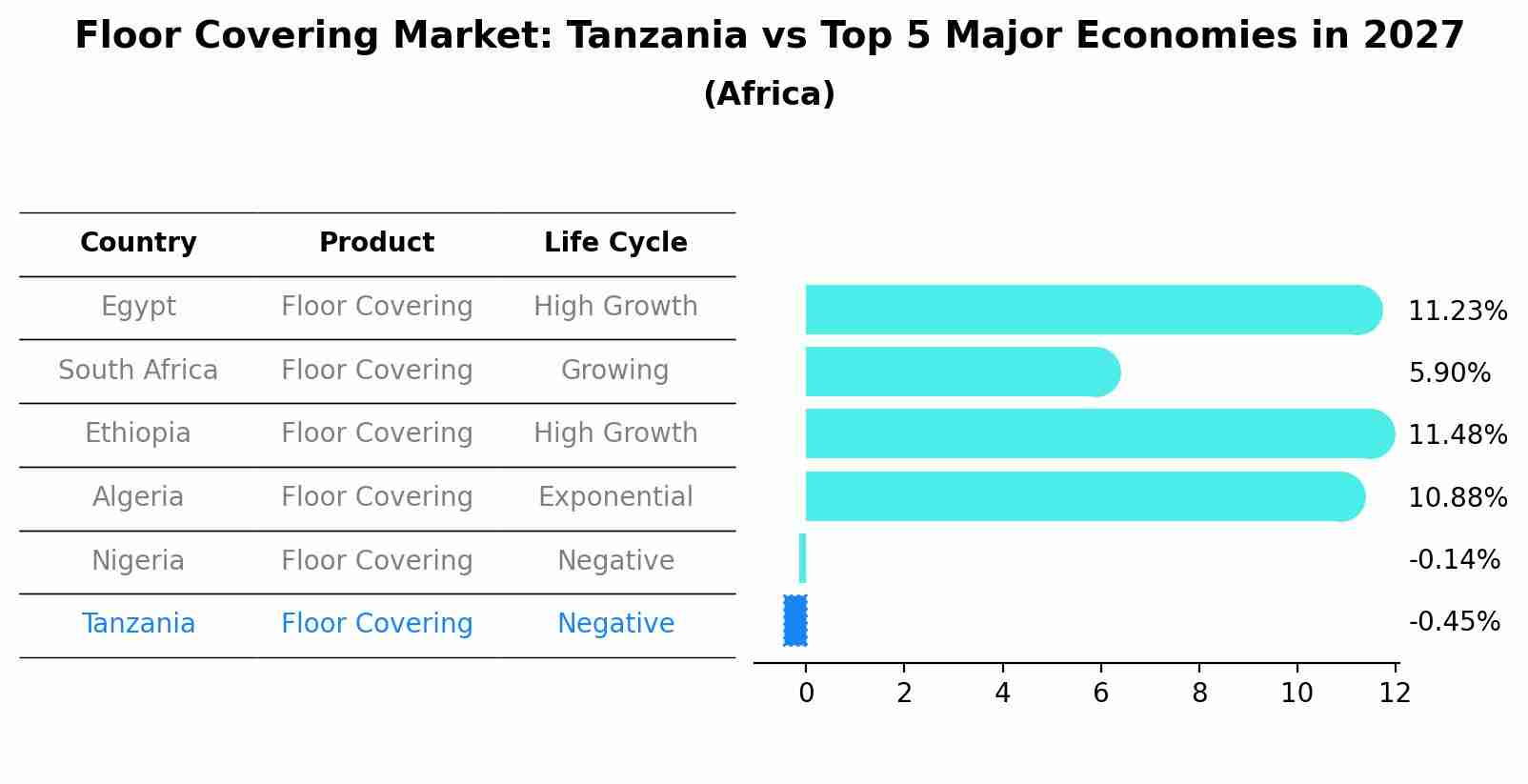 Floor Covering Market: Tanzania vs Top 5 Major Economies in 2027 (Africa)