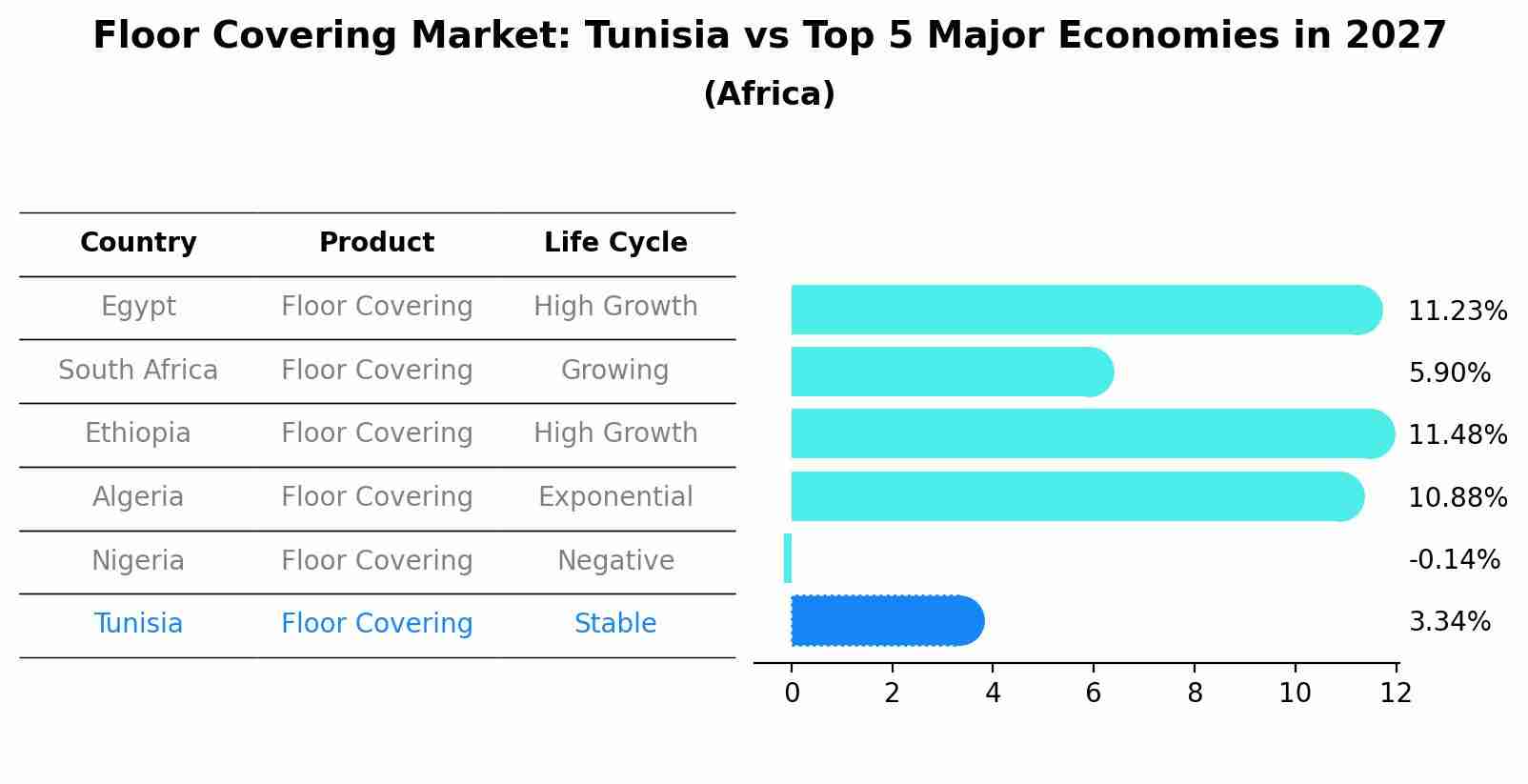 Floor Covering Market: Tunisia vs Top 5 Major Economies in 2027 (Africa)