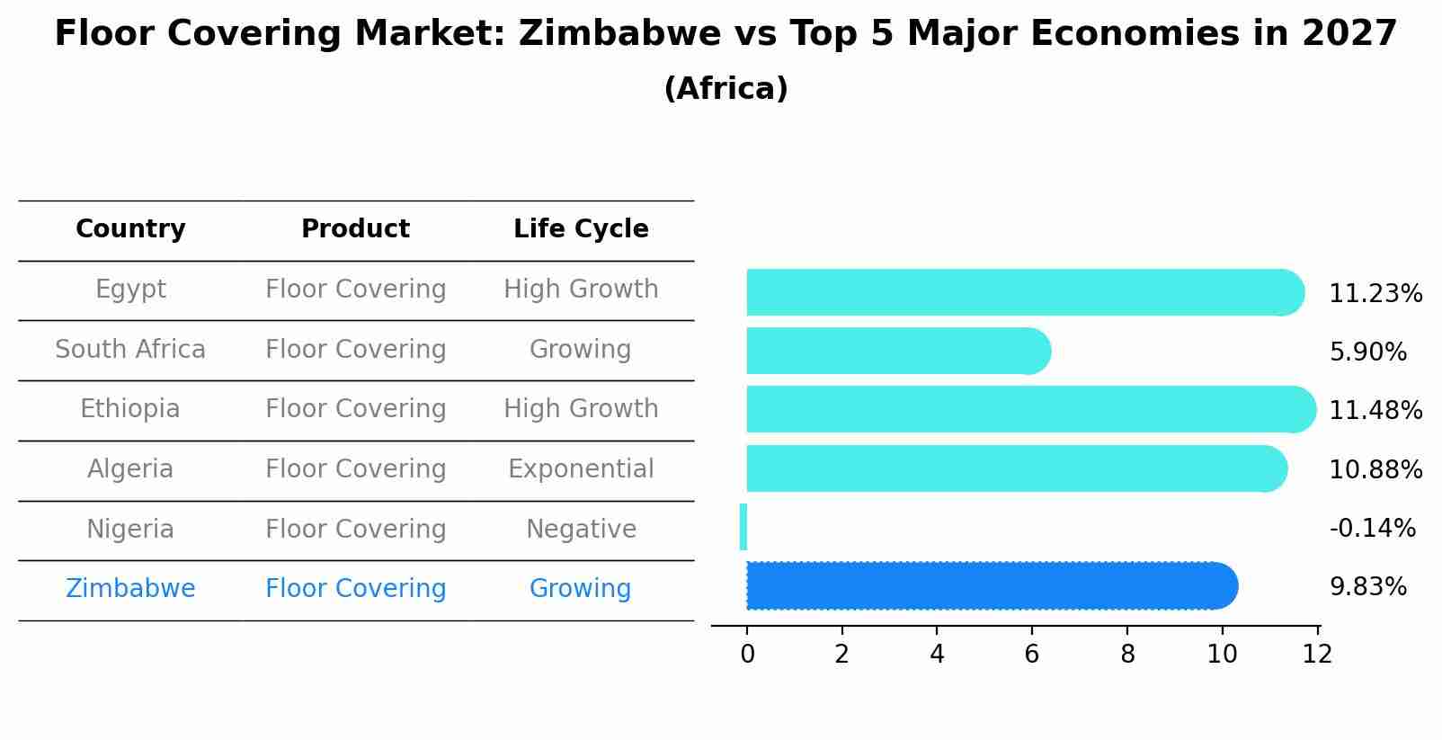 Floor Covering Market: Zimbabwe vs Top 5 Major Economies in 2027 (Africa)