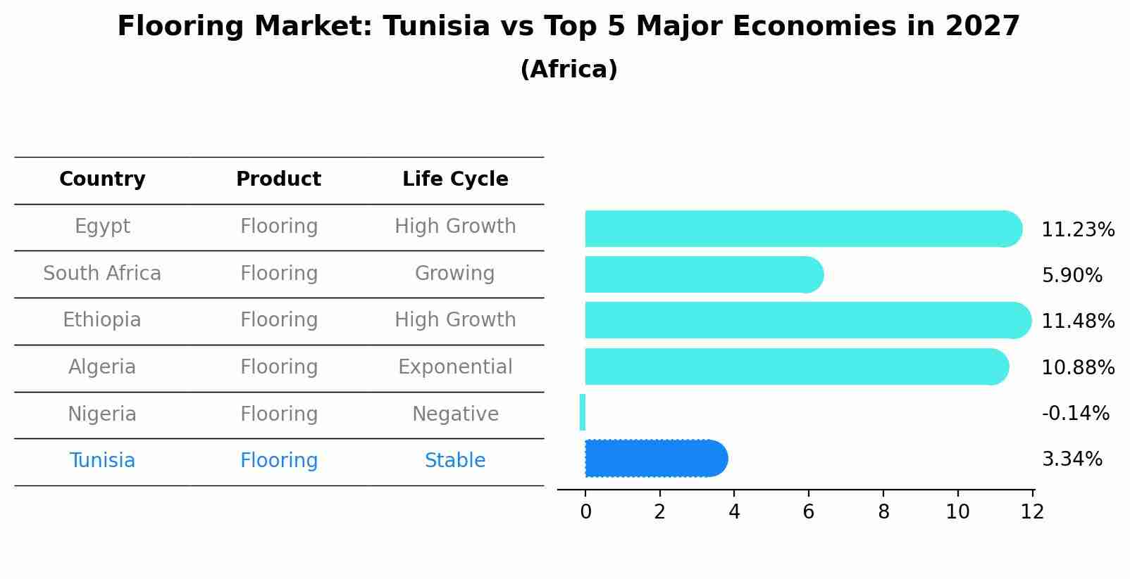 Flooring Market: Tunisia vs Top 5 Major Economies in 2027 (Africa)