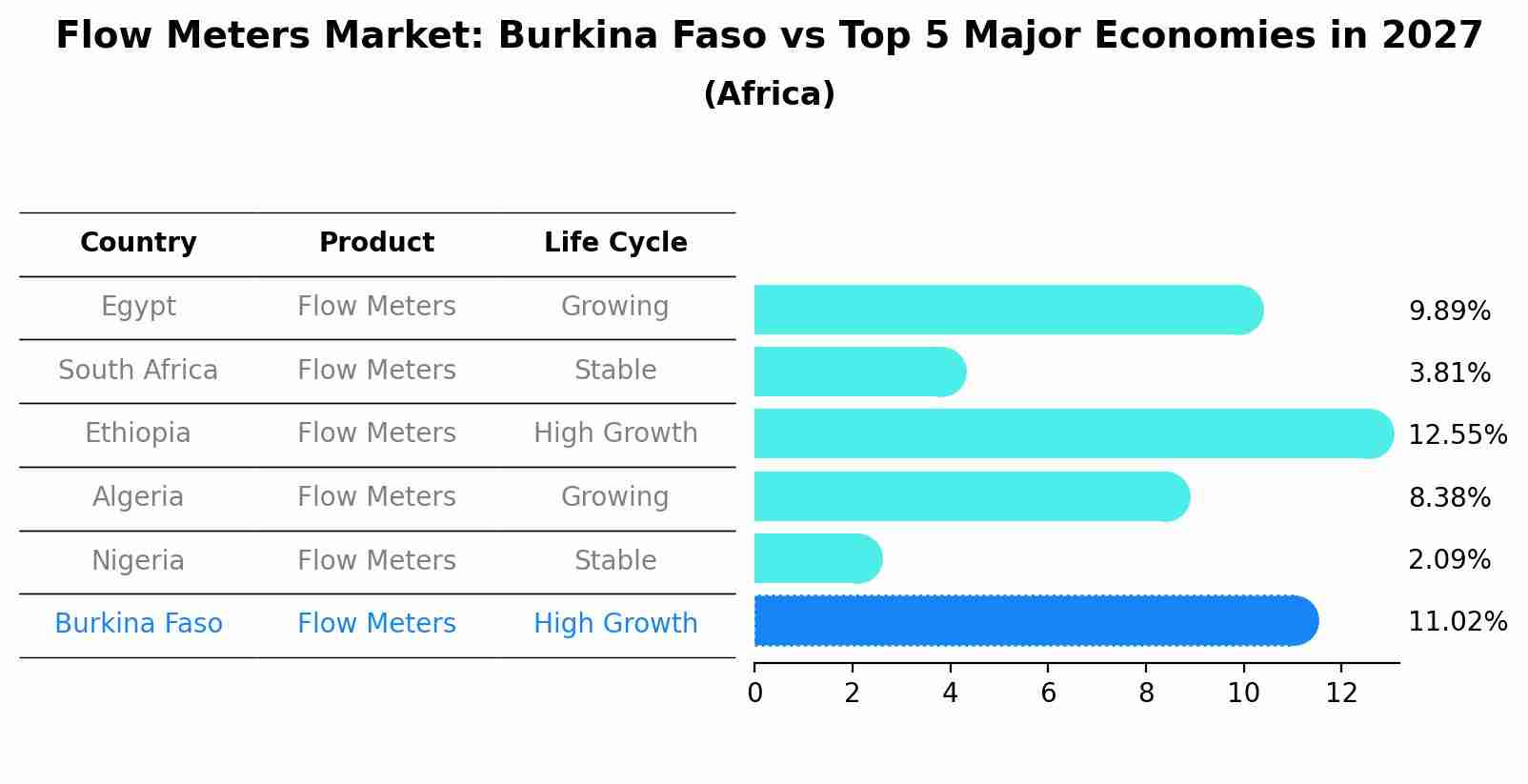 Flow Meters Market: Burkina Faso vs Top 5 Major Economies in 2027 (Africa)
