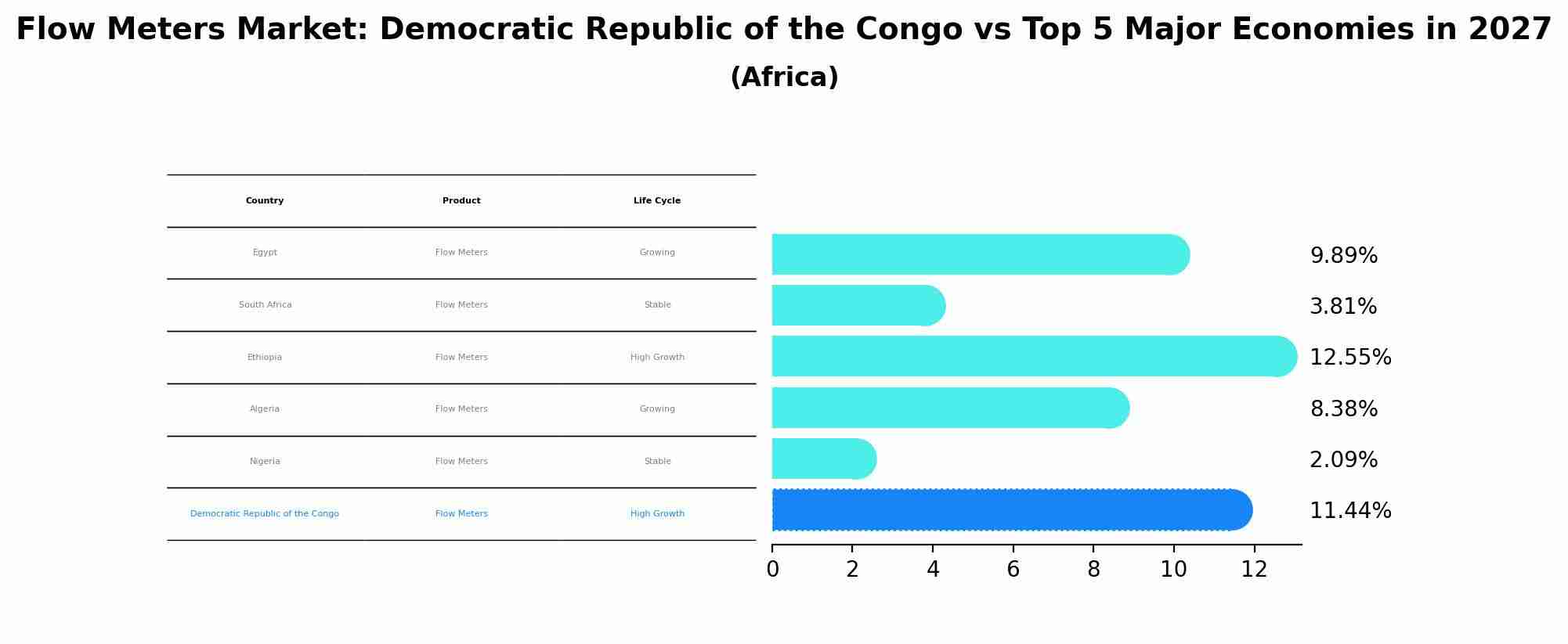Flow Meters Market: Democratic Republic of the Congo vs Top 5 Major Economies in 2027 (Africa)
