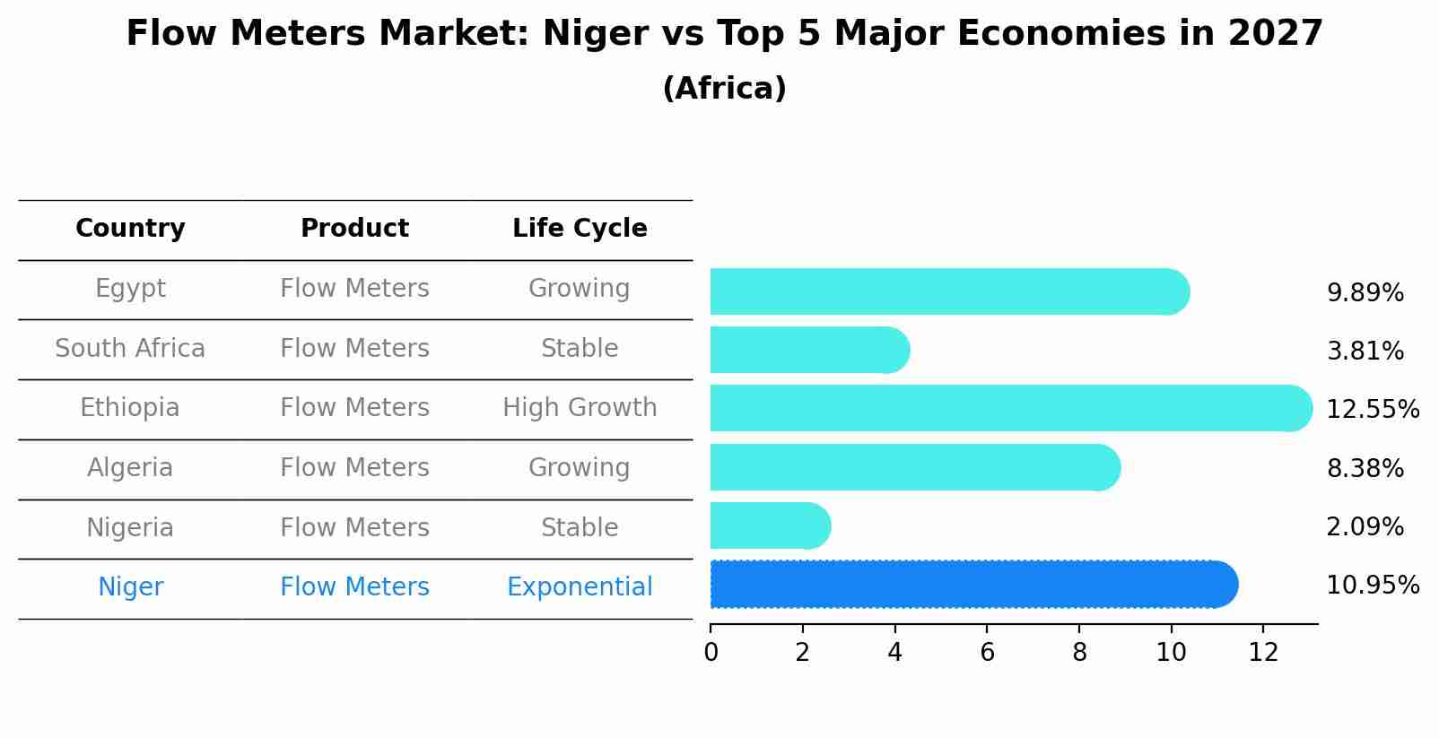 Flow Meters Market: Niger vs Top 5 Major Economies in 2027 (Africa)