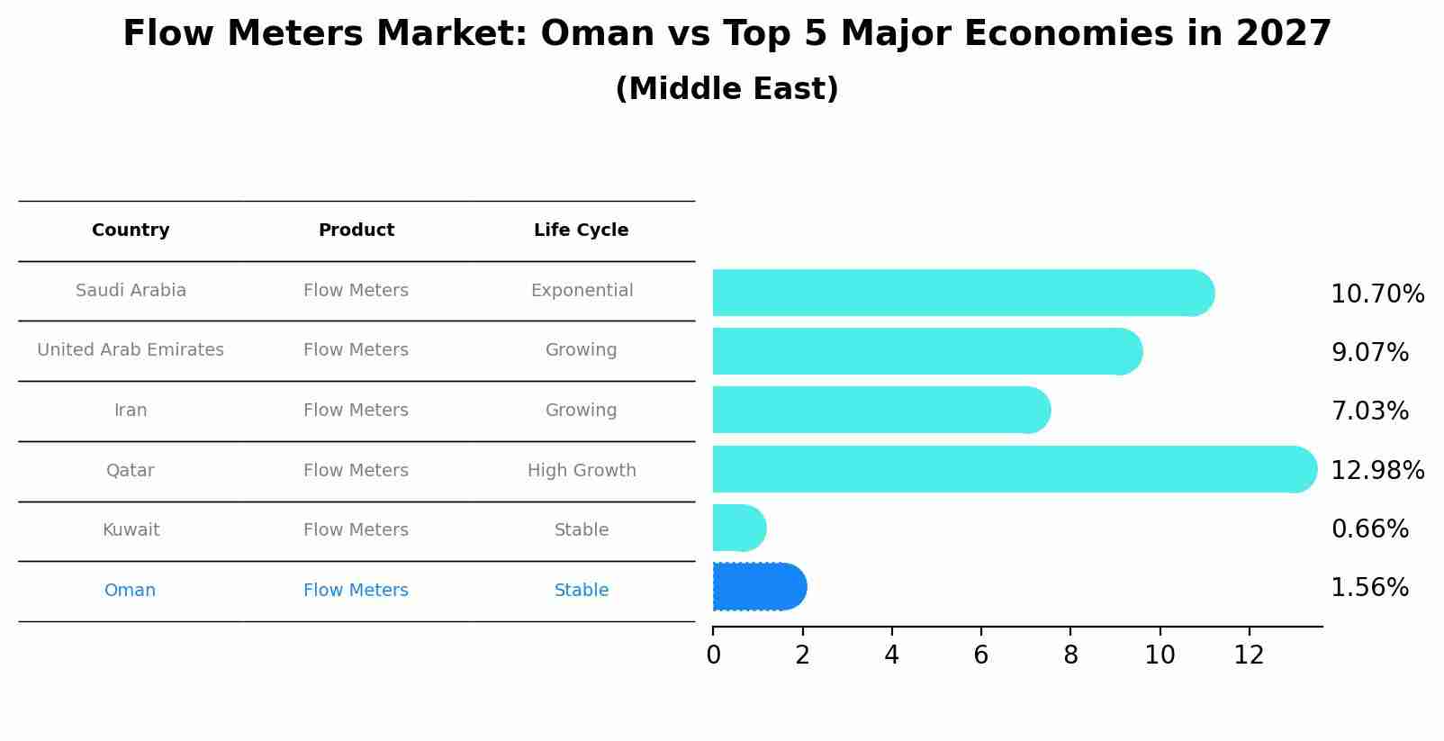 Flow Meters Market: Oman vs Top 5 Major Economies in 2027 (Middle East)
