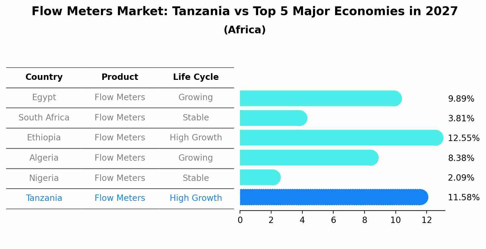 Flow Meters Market: Tanzania vs Top 5 Major Economies in 2027 (Africa)
