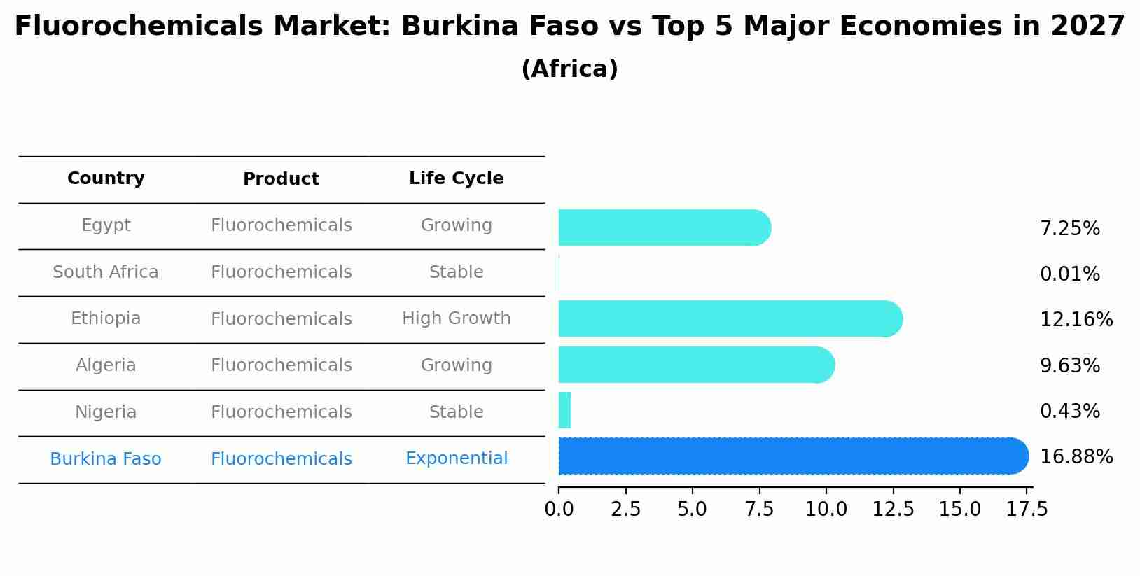 Fluorochemicals Market: Burkina Faso vs Top 5 Major Economies in 2027 (Africa)