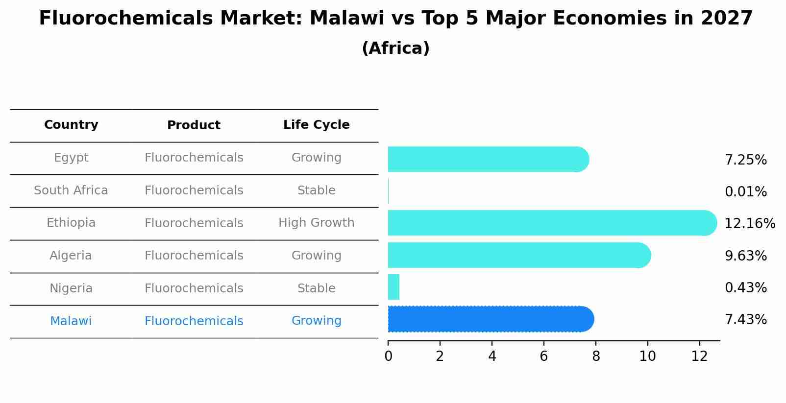 Fluorochemicals Market: Malawi vs Top 5 Major Economies in 2027 (Africa)