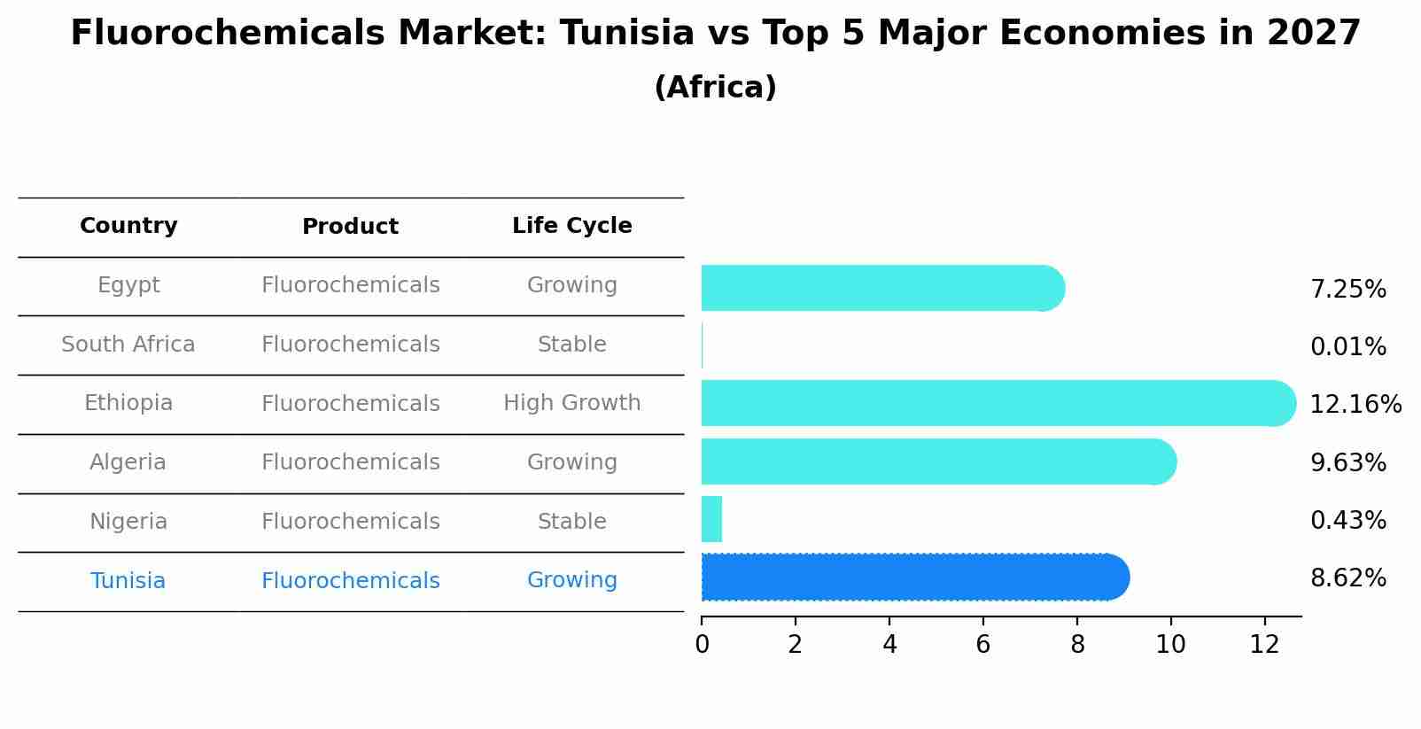 Fluorochemicals Market: Tunisia vs Top 5 Major Economies in 2027 (Africa)
