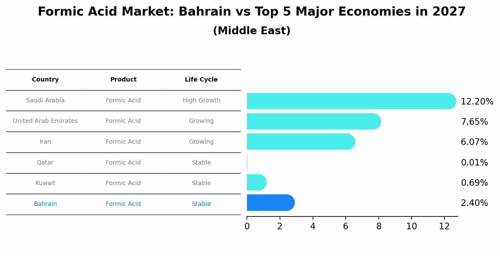 Formic Acid Market: Bahrain vs Top 5 Major Economies in 2027 (Middle East)