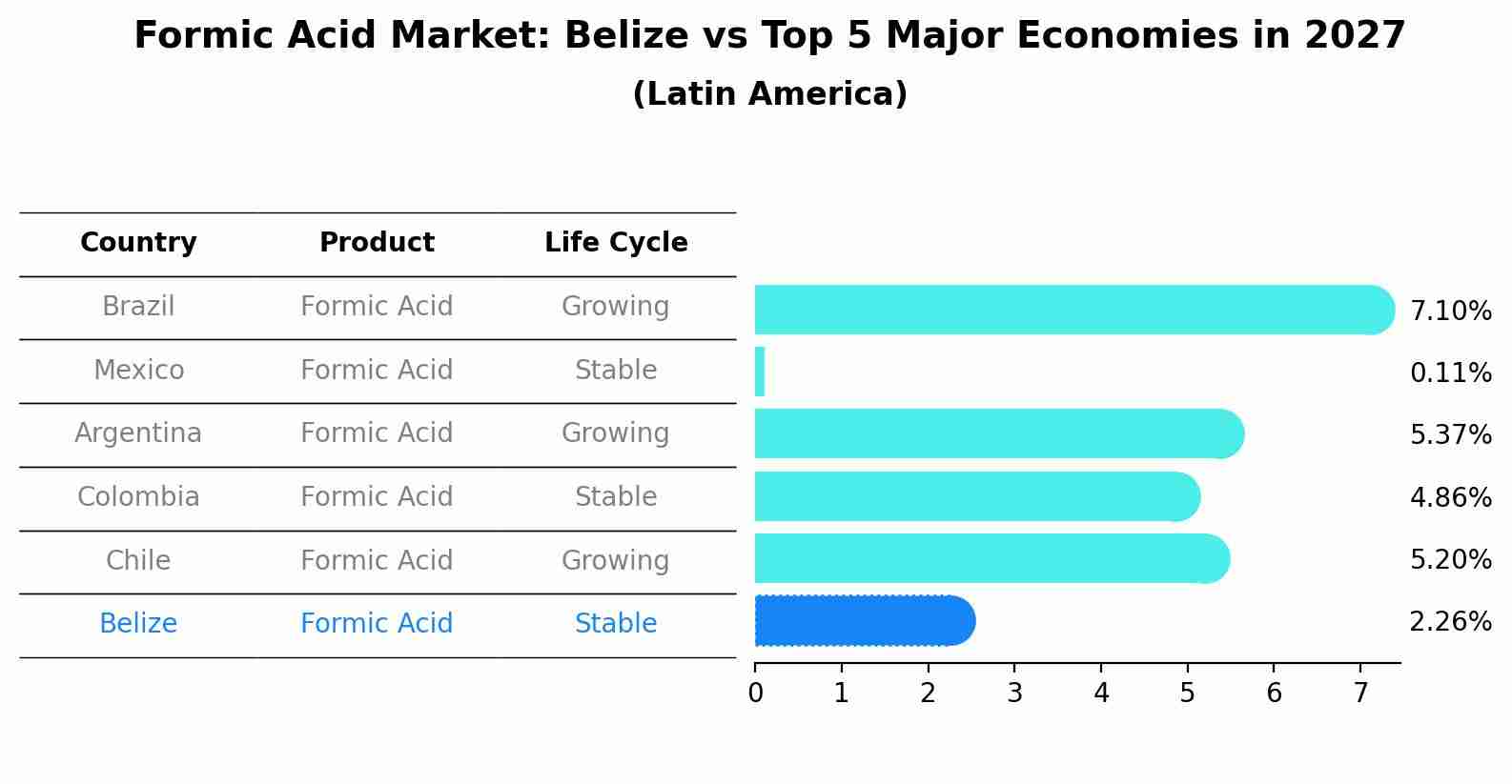 Formic Acid Market: Belize vs Top 5 Major Economies in 2027 (Latin America)