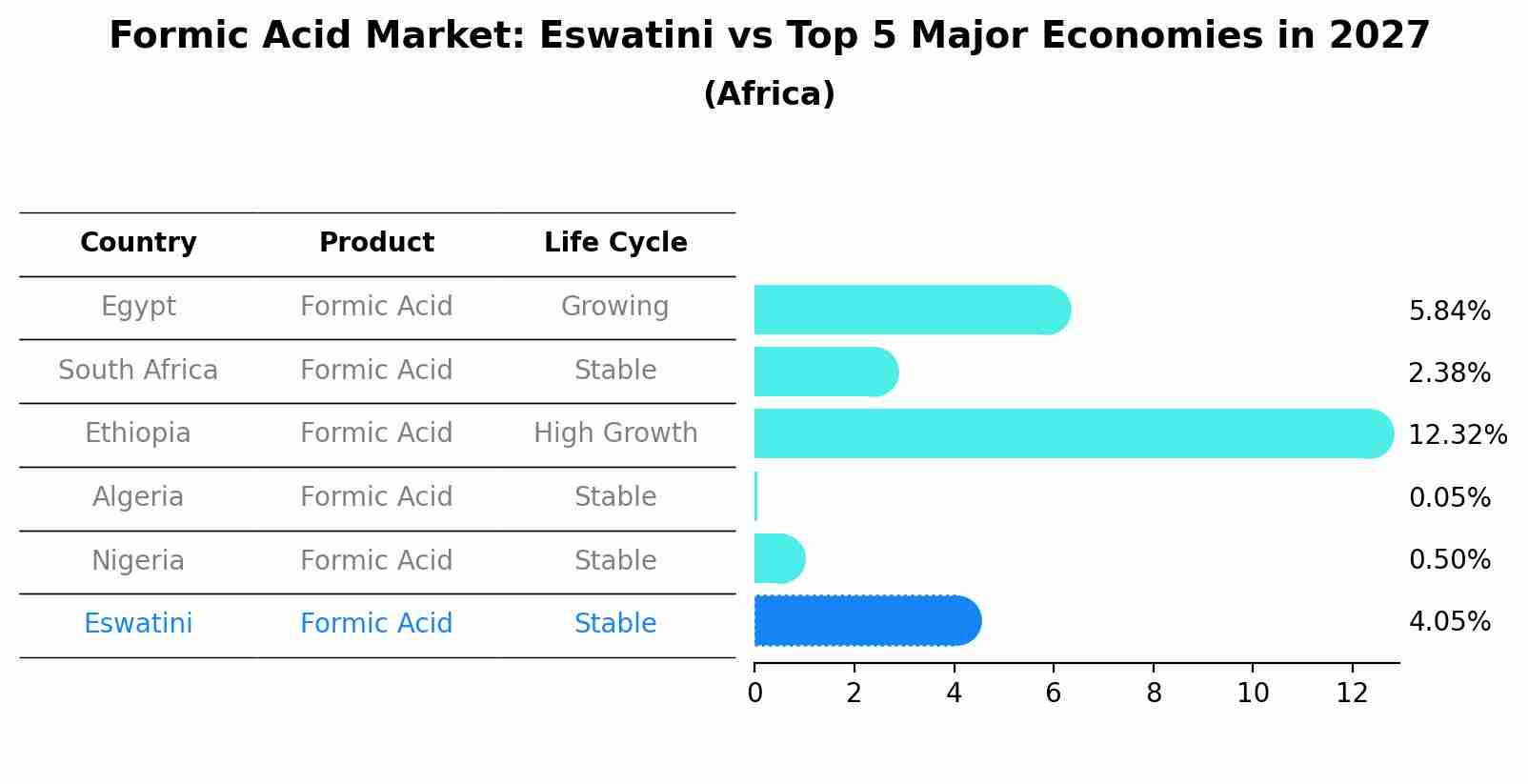 Formic Acid Market: Eswatini vs Top 5 Major Economies in 2027 (Africa)