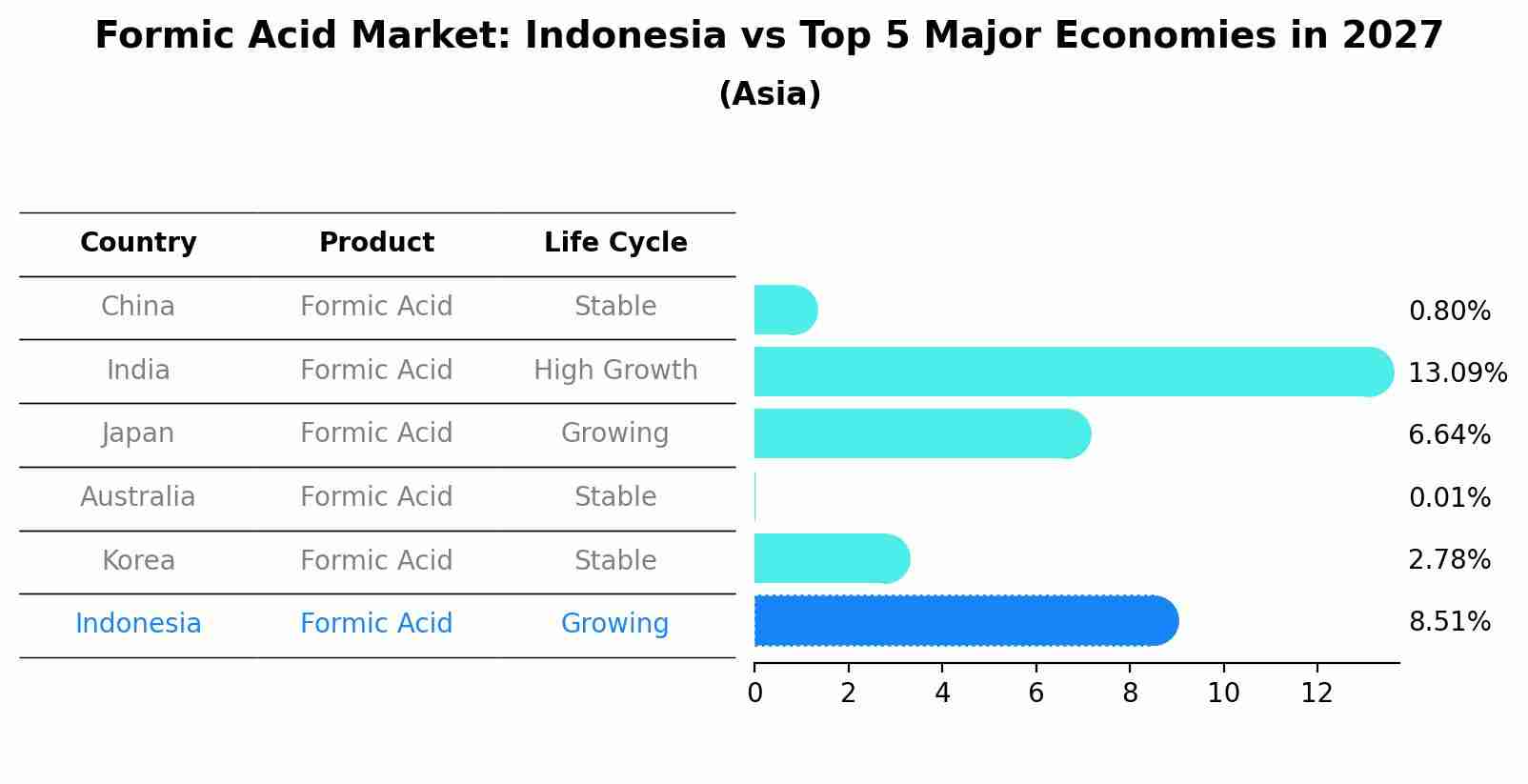 Formic Acid Market: Indonesia vs Top 5 Major Economies in 2027 (Asia)