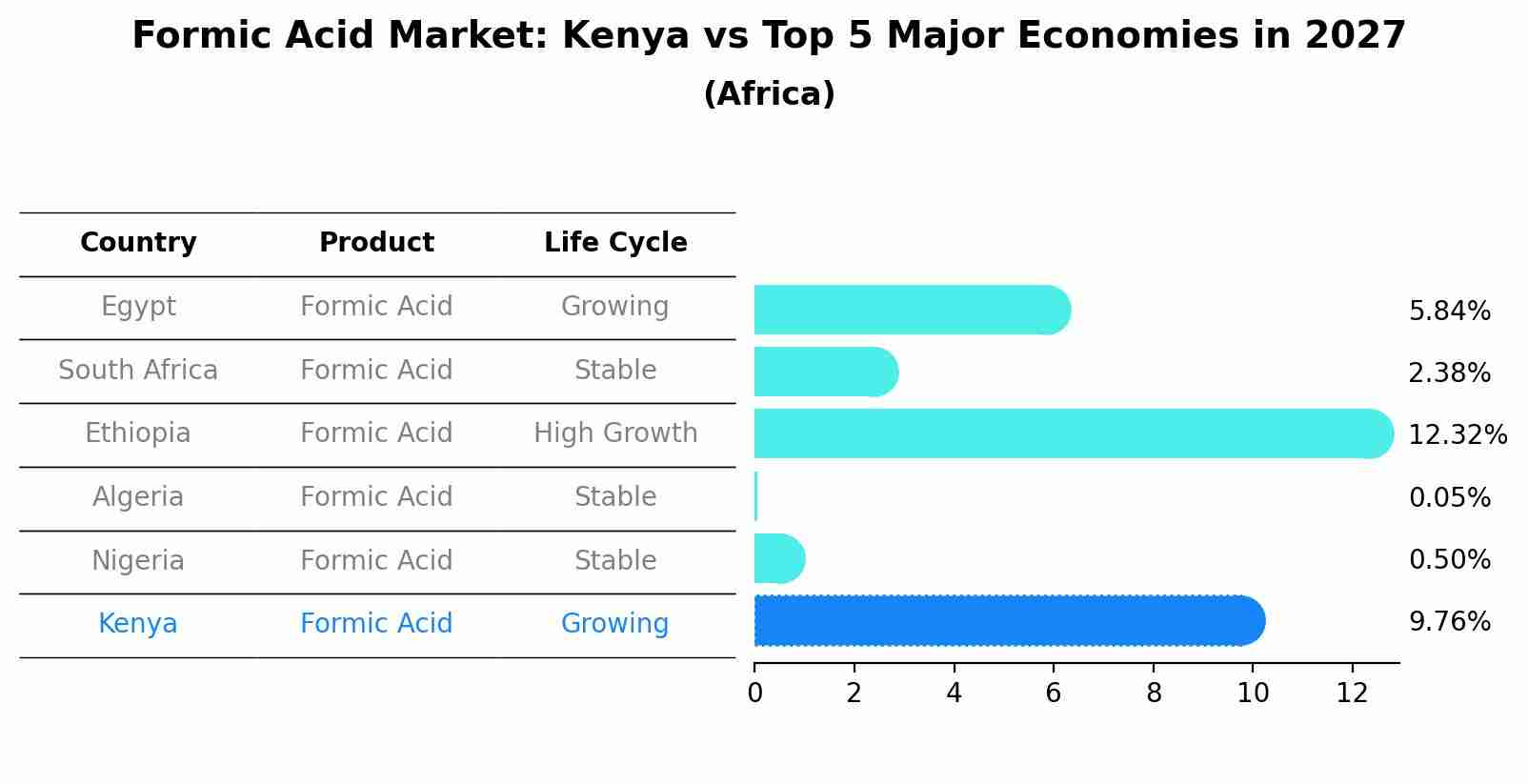 Formic Acid Market: Kenya vs Top 5 Major Economies in 2027 (Africa)