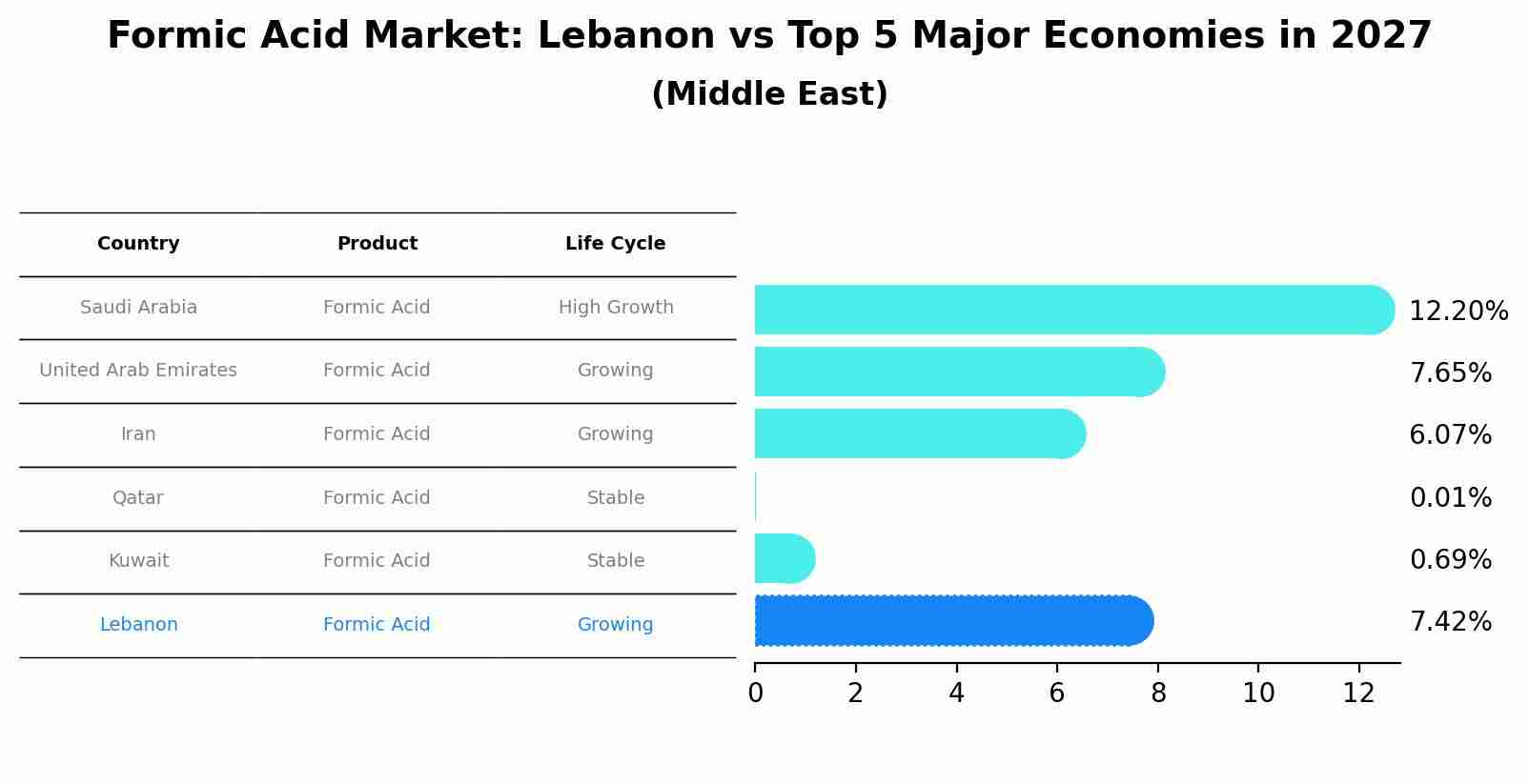 Formic Acid Market: Lebanon vs Top 5 Major Economies in 2027 (Middle East)