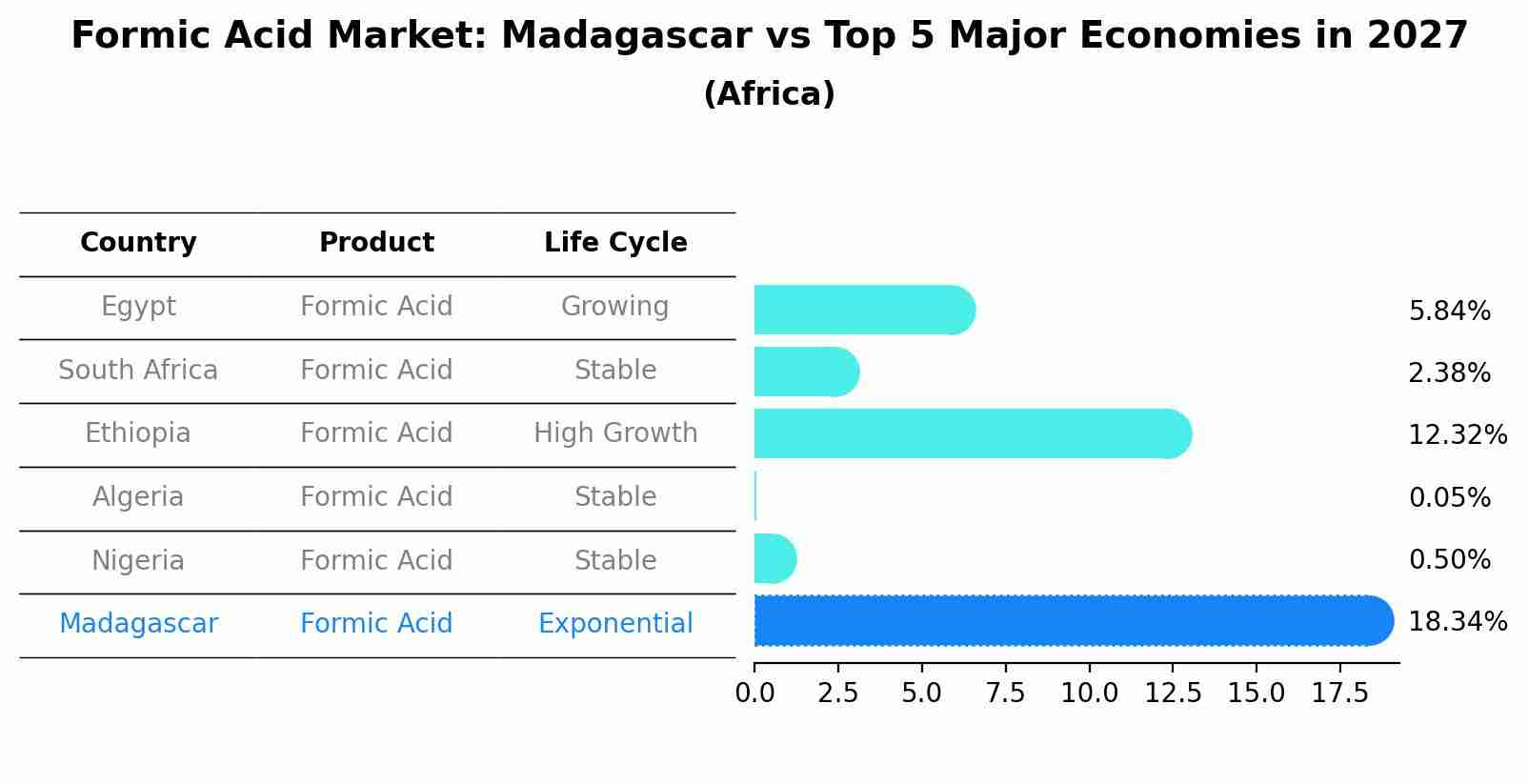 Formic Acid Market: Madagascar vs Top 5 Major Economies in 2027 (Africa)