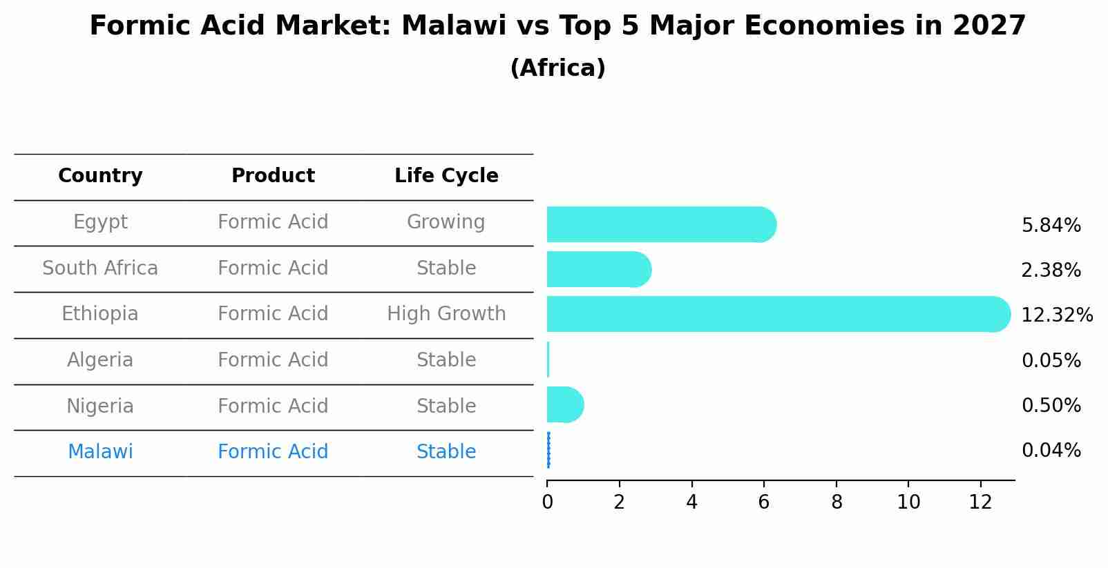 Formic Acid Market: Malawi vs Top 5 Major Economies in 2027 (Africa)