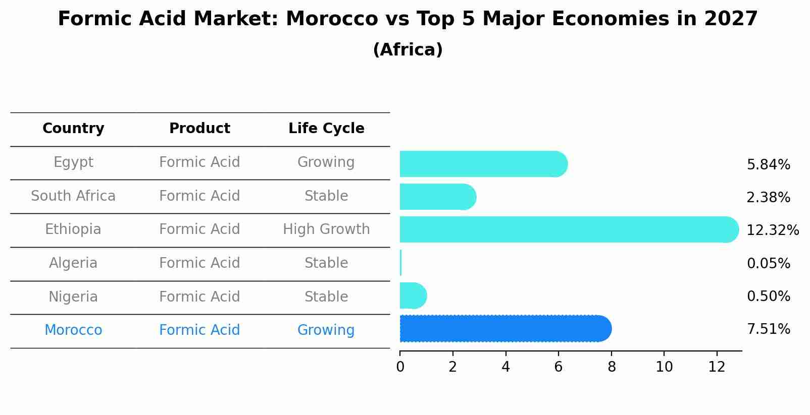 Formic Acid Market: Morocco vs Top 5 Major Economies in 2027 (Africa)
