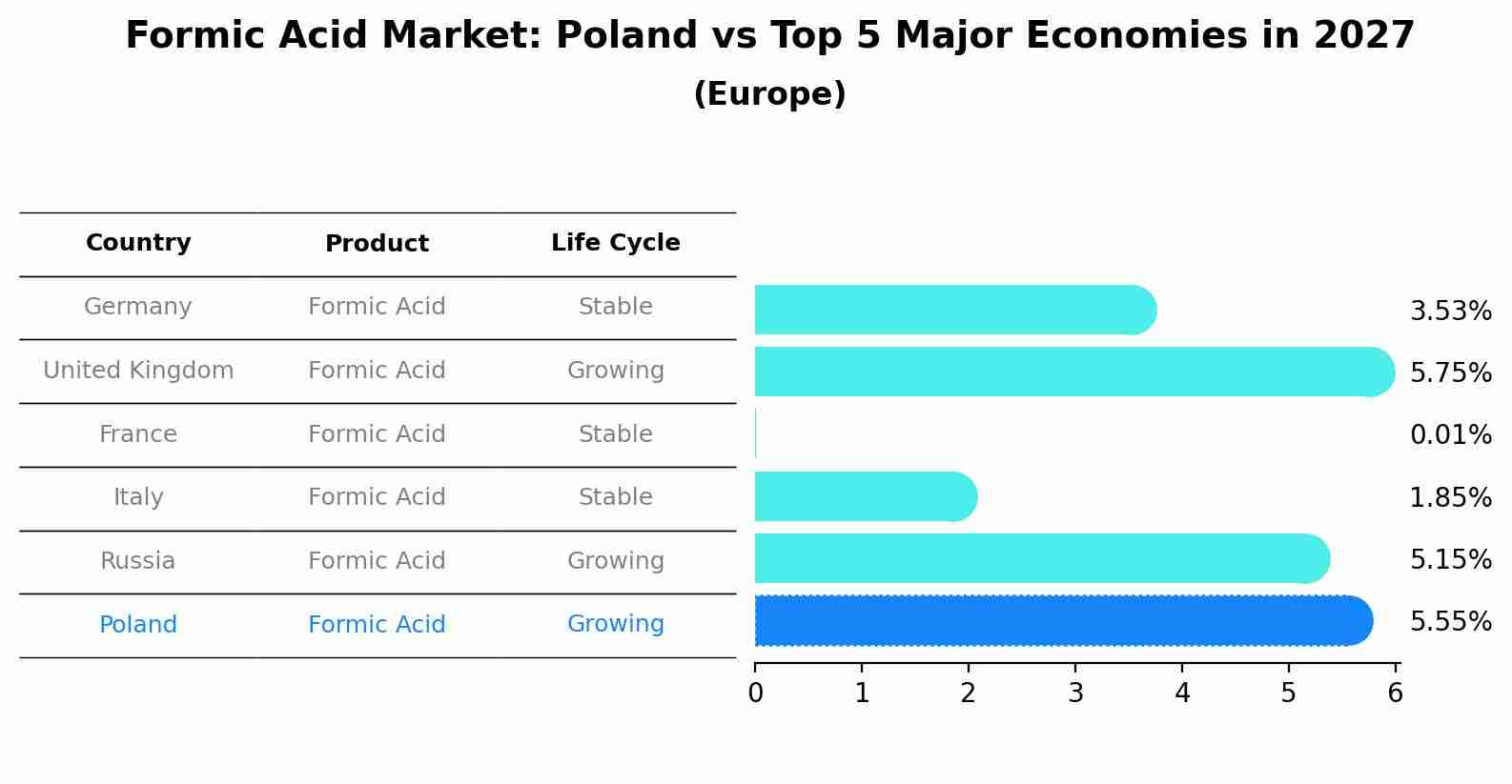 Formic Acid Market: Poland vs Top 5 Major Economies in 2027 (Europe)
