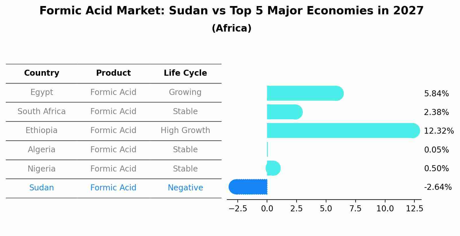 Formic Acid Market: Sudan vs Top 5 Major Economies in 2027 (Africa)