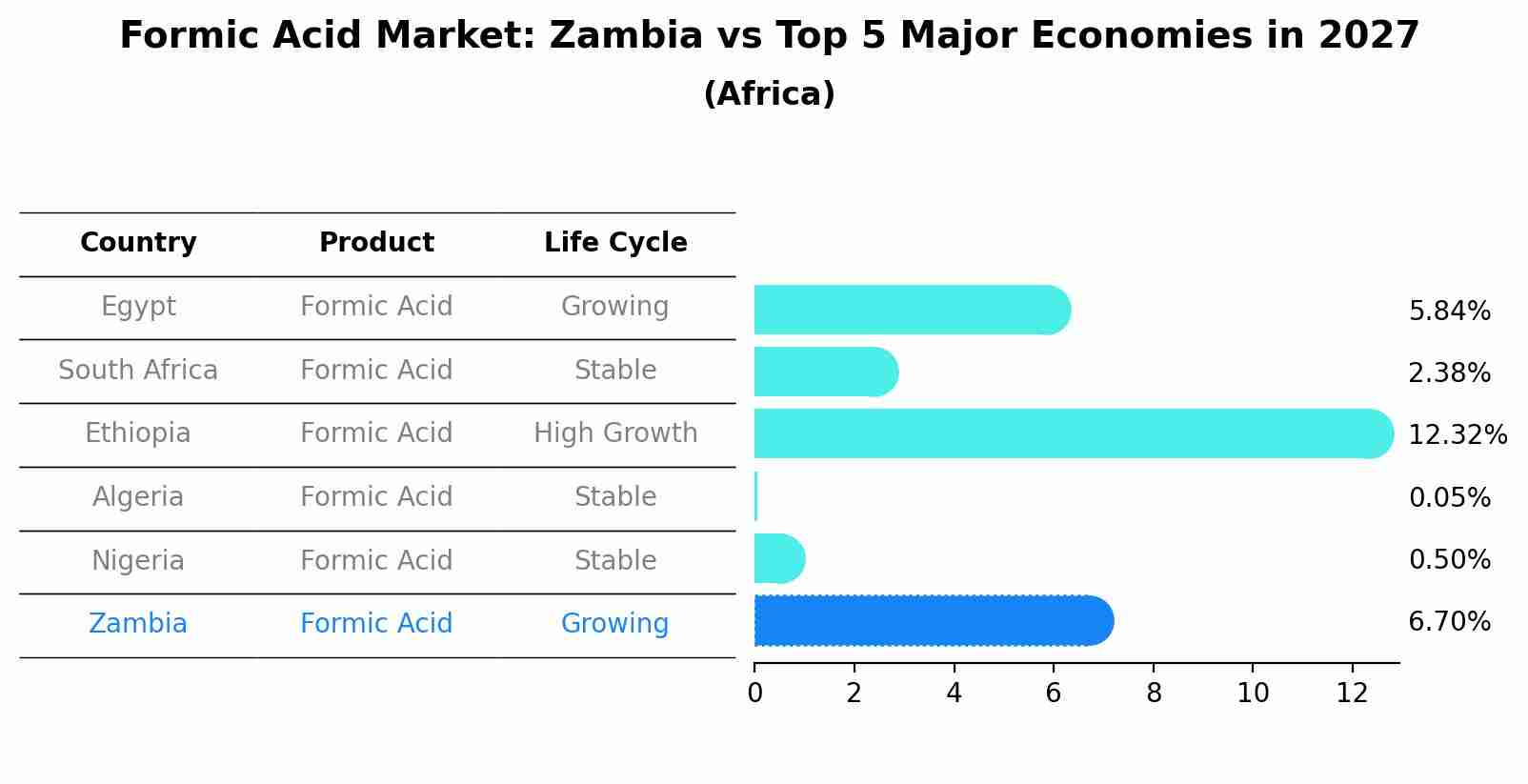 Formic Acid Market: Zambia vs Top 5 Major Economies in 2027 (Africa)