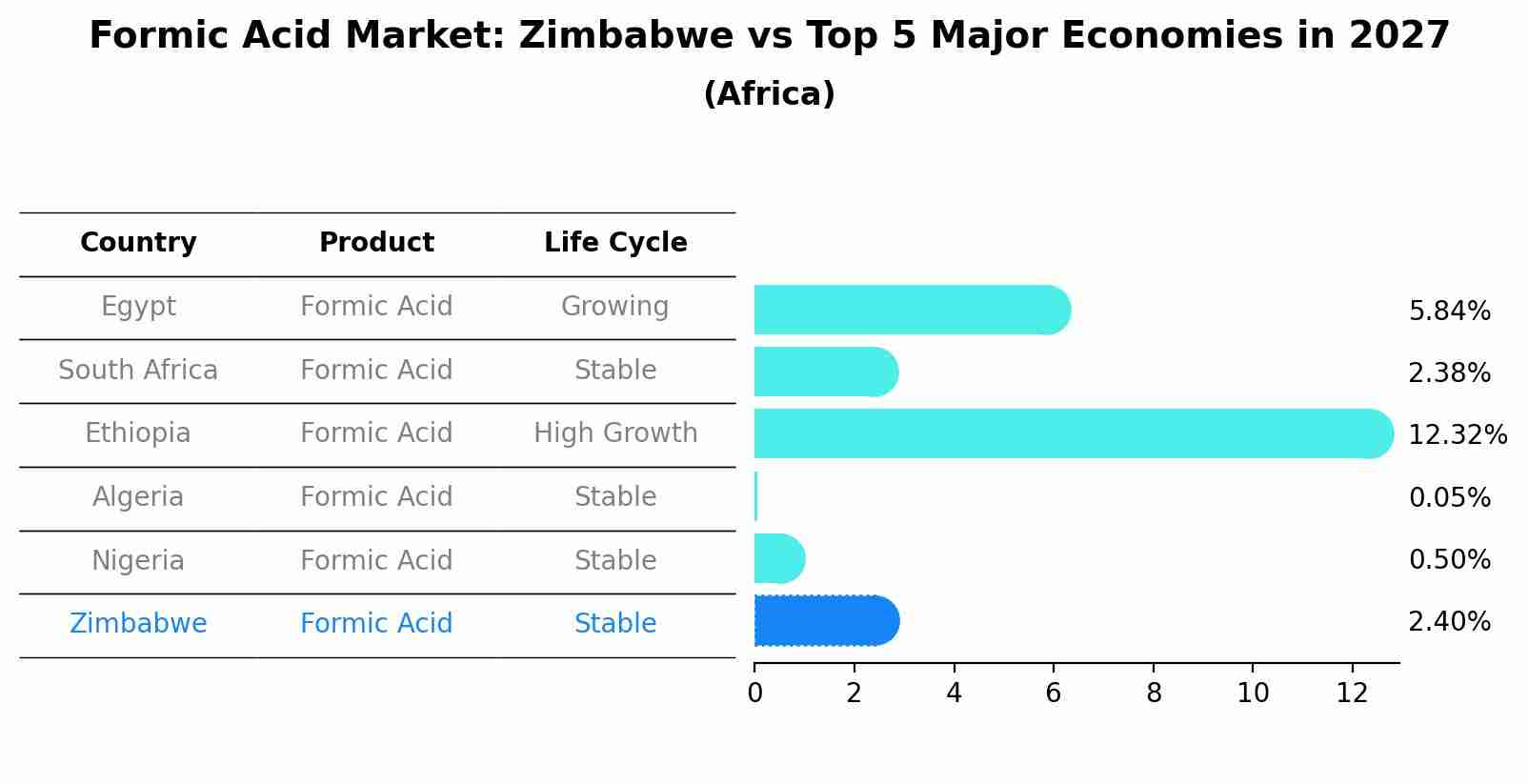 Formic Acid Market: Zimbabwe vs Top 5 Major Economies in 2027 (Africa)