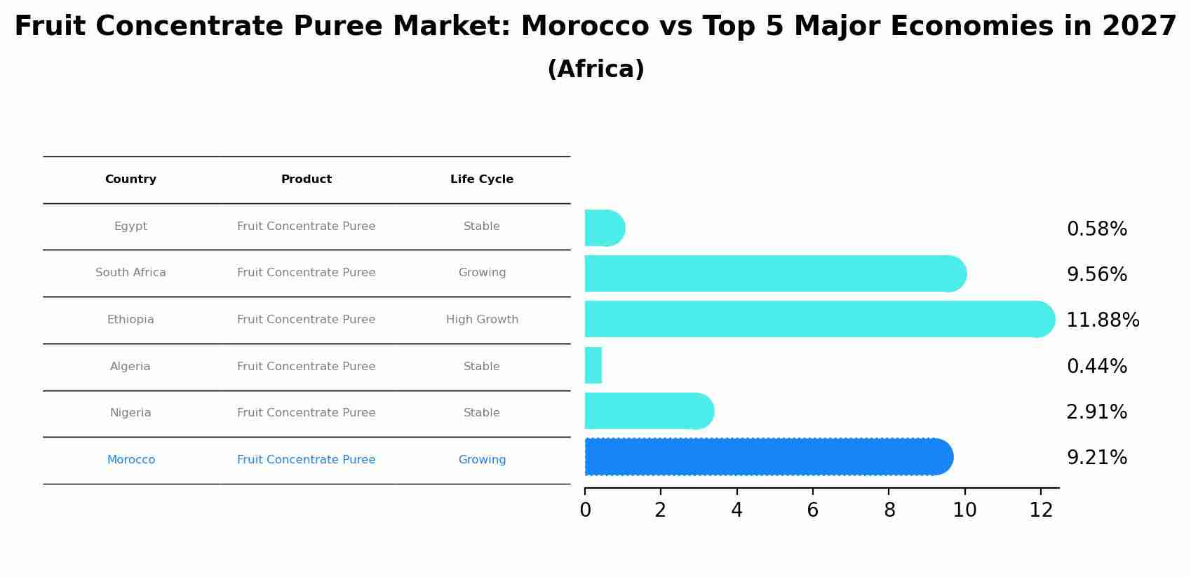Fruit Concentrate Puree Market: Morocco vs Top 5 Major Economies in 2027 (Africa)