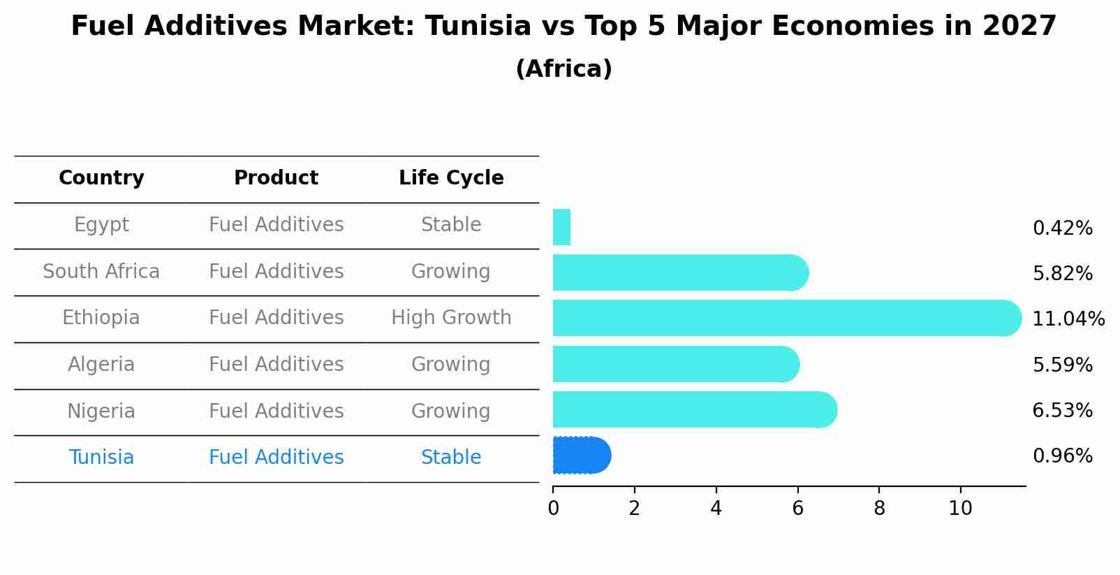 Fuel Additives Market: Tunisia vs Top 5 Major Economies in 2027 (Africa)
