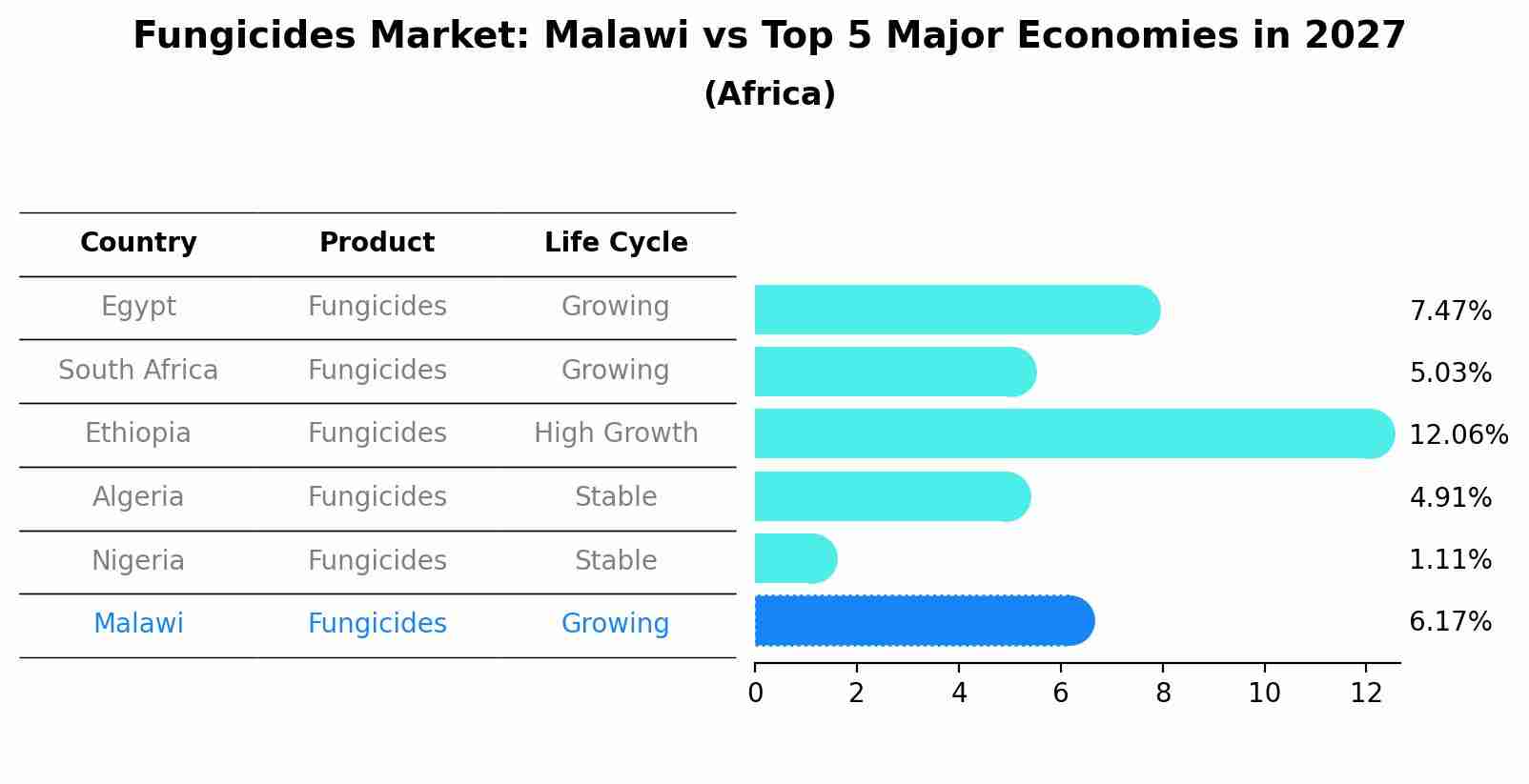 Fungicides Market: Malawi vs Top 5 Major Economies in 2027 (Africa)
