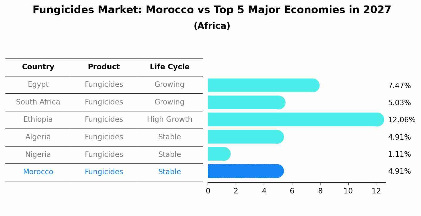 Fungicides Market: Morocco vs Top 5 Major Economies in 2027 (Africa)