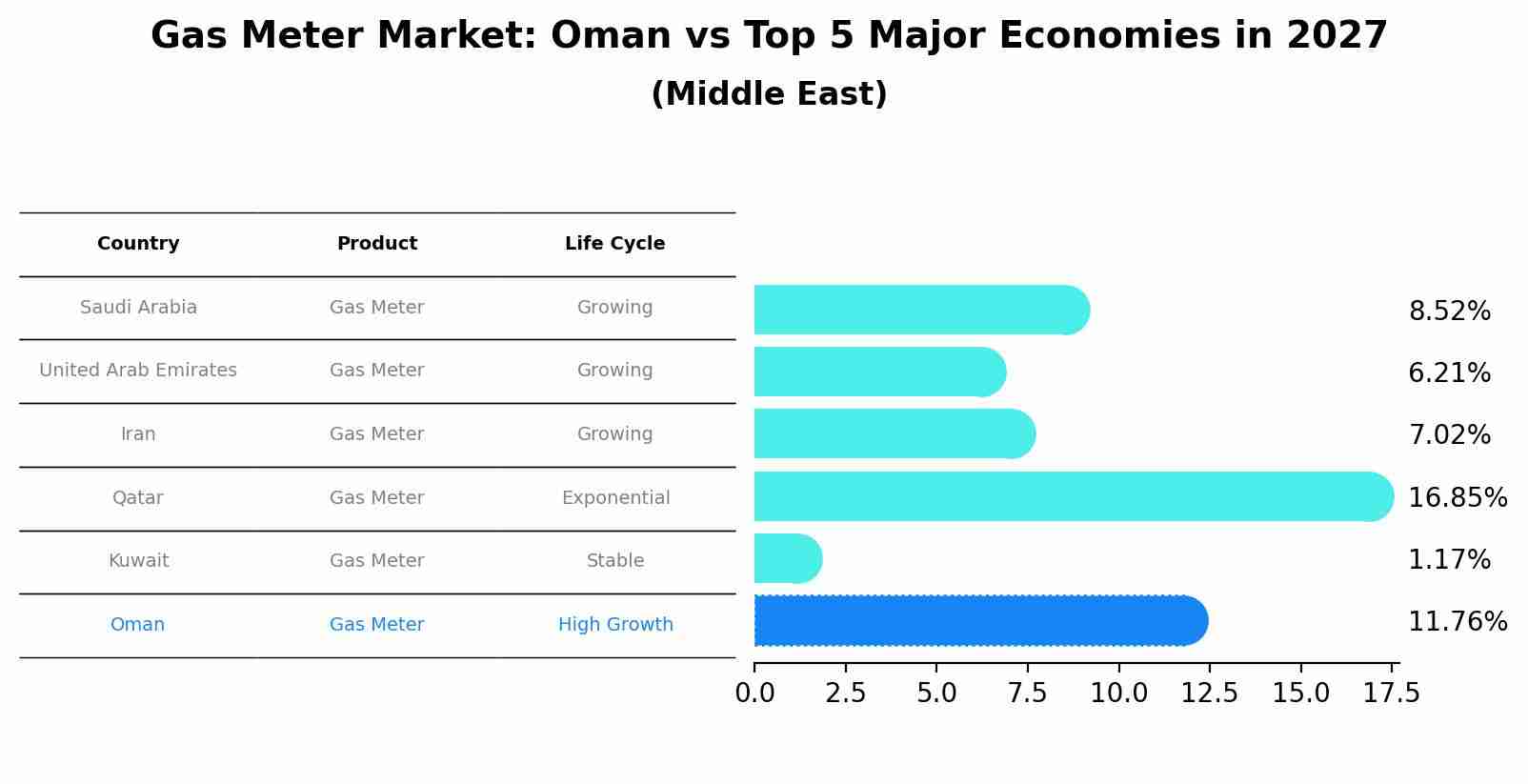 Gas Meter Market: Oman vs Top 5 Major Economies in 2027 (Middle East)