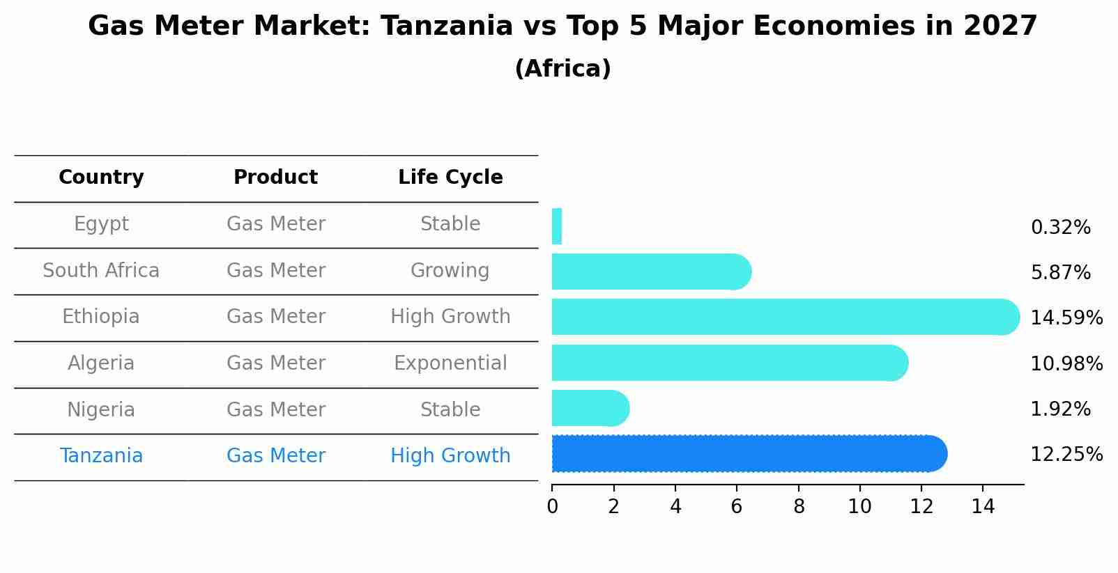 Gas Meter Market: Tanzania vs Top 5 Major Economies in 2027 (Africa)