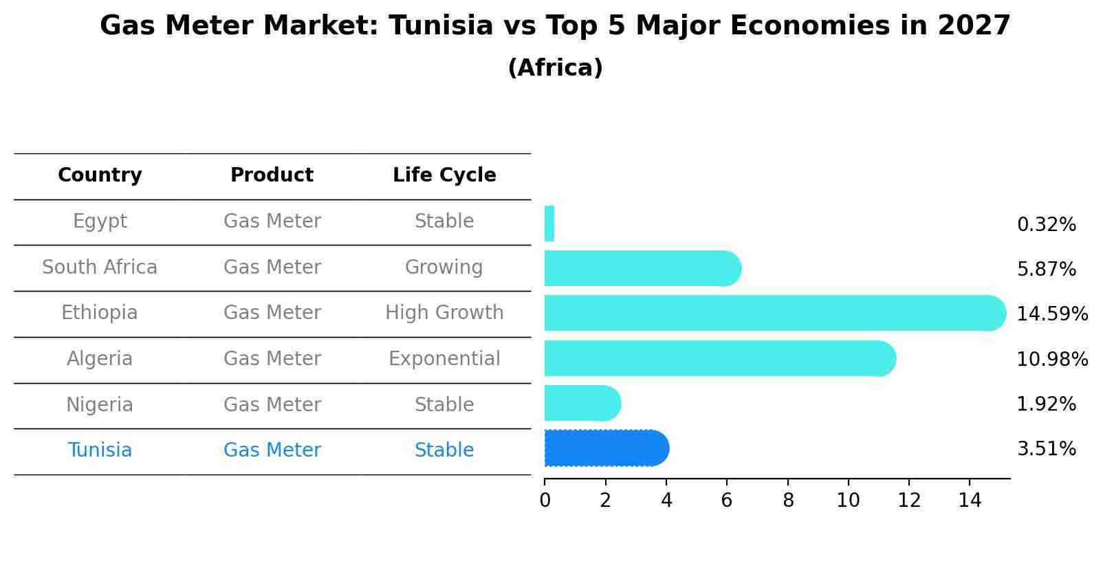 Gas Meter Market: Tunisia vs Top 5 Major Economies in 2027 (Africa)