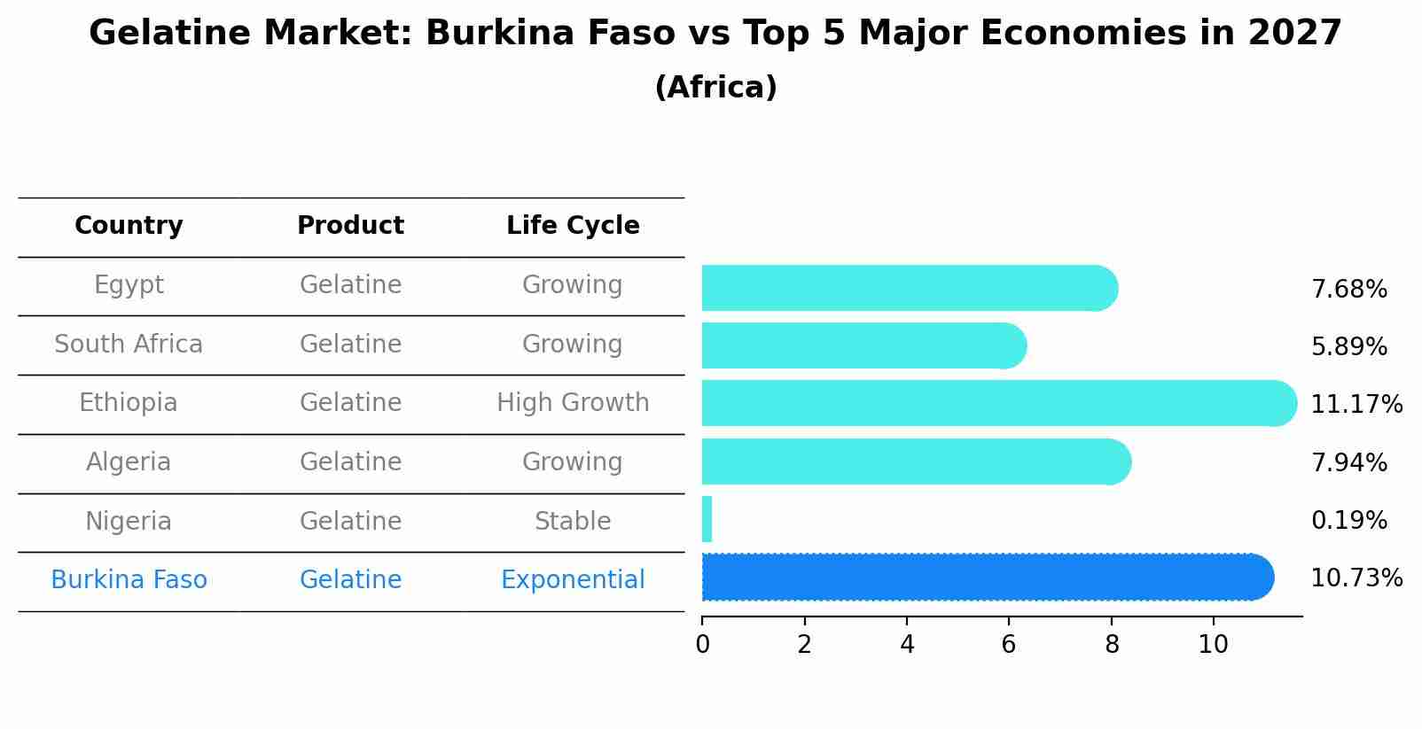 Gelatine Market: Burkina Faso vs Top 5 Major Economies in 2027 (Africa)