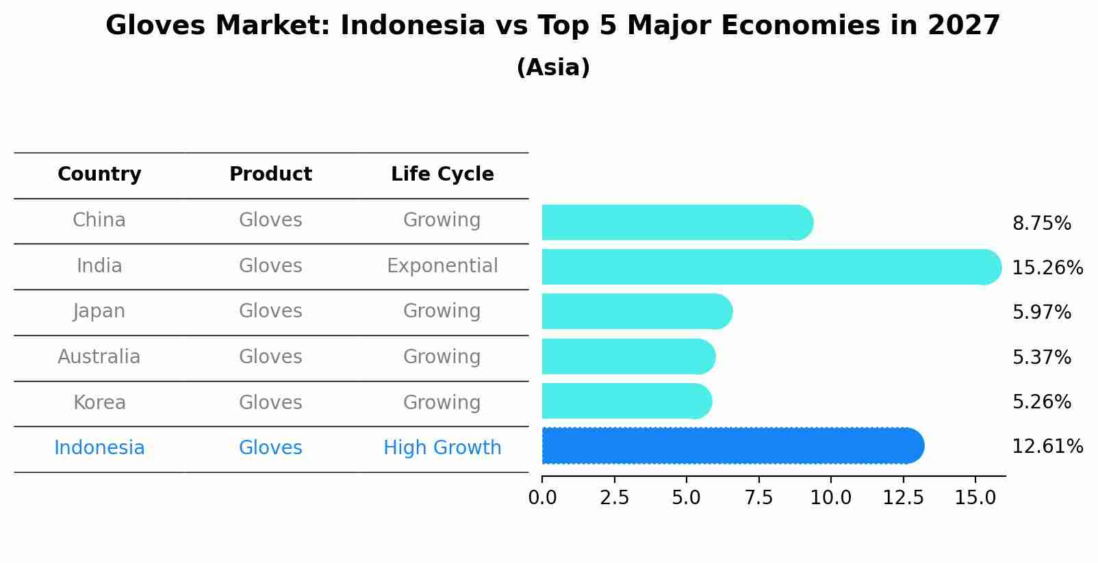 Gloves Market: Indonesia vs Top 5 Major Economies in 2027 (Asia)